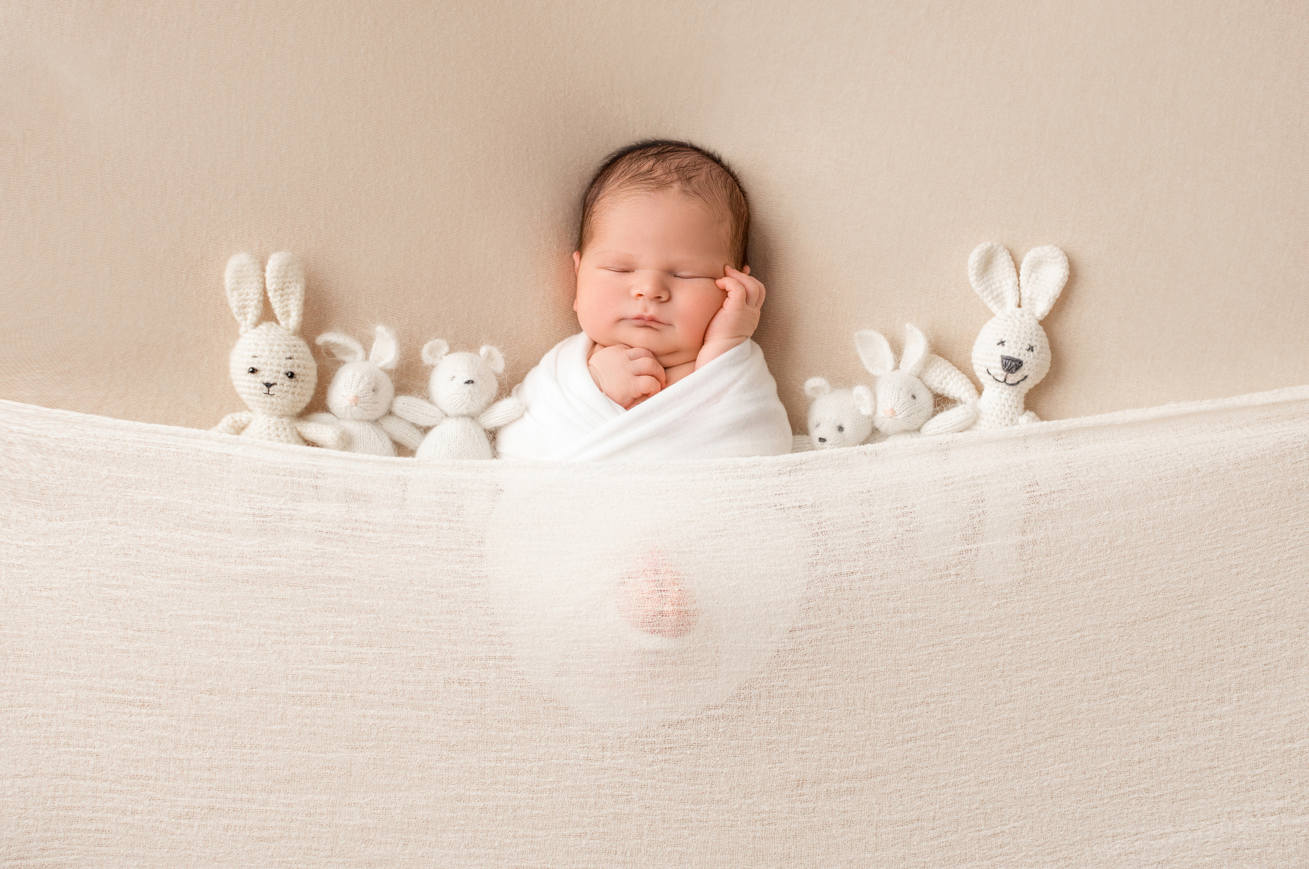 Лев 8 дней. Фотограф новорожденных Краснодар Малышенко Надежда