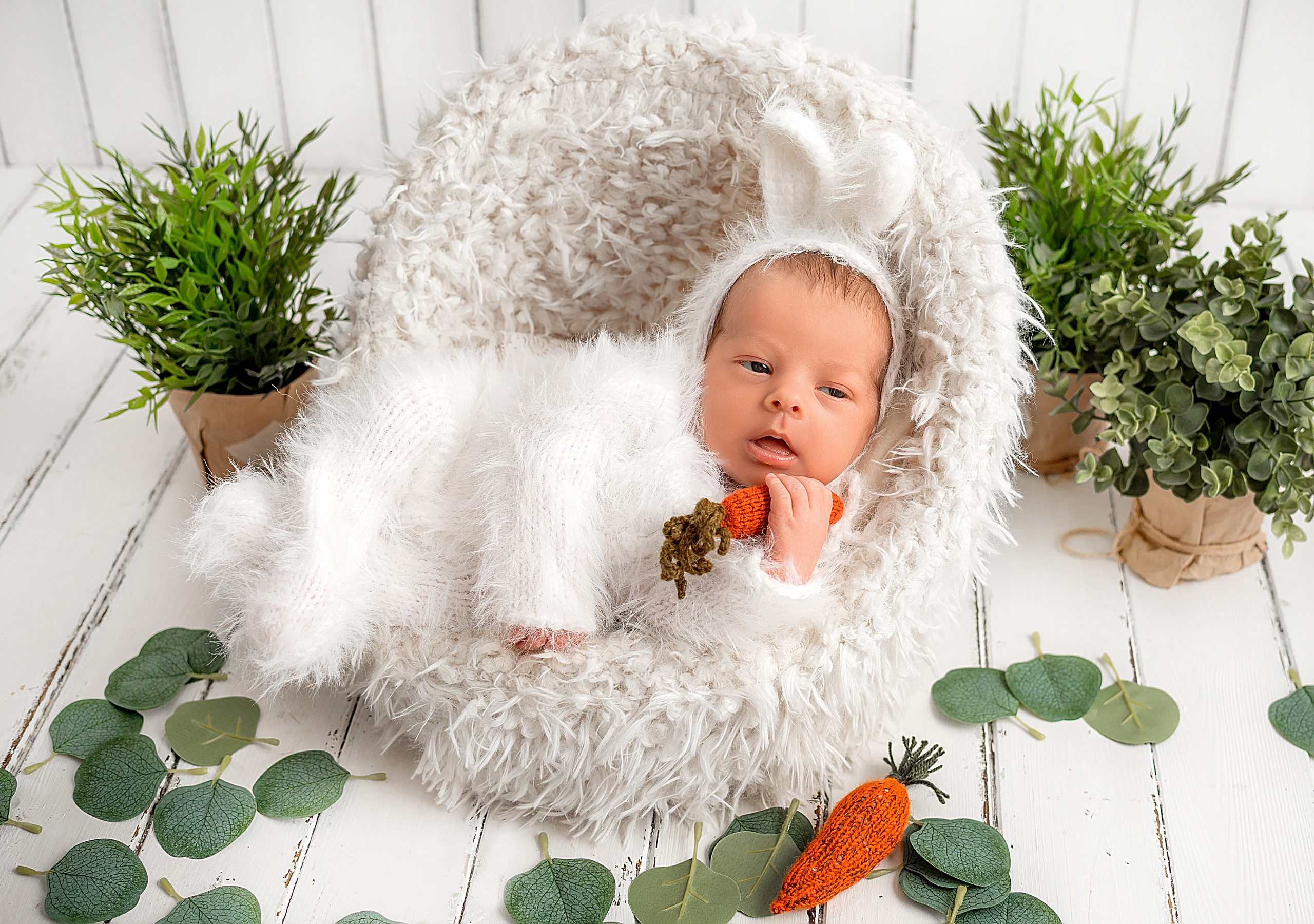 Константин 21 день. Фотограф новорожденных Краснодар Малышенко Надежда