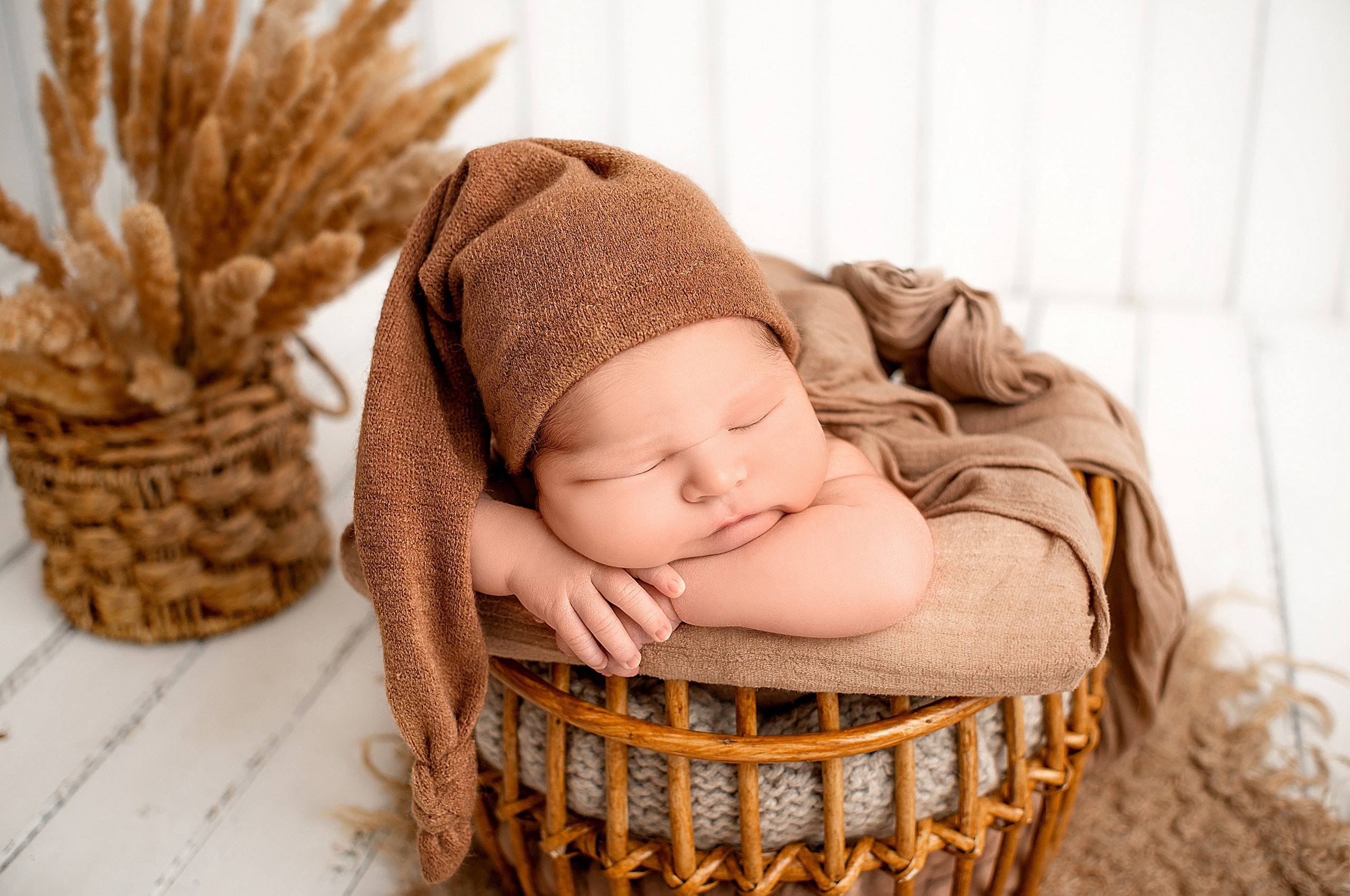 Лев 8 дней. Фотограф новорожденных Краснодар Малышенко Надежда