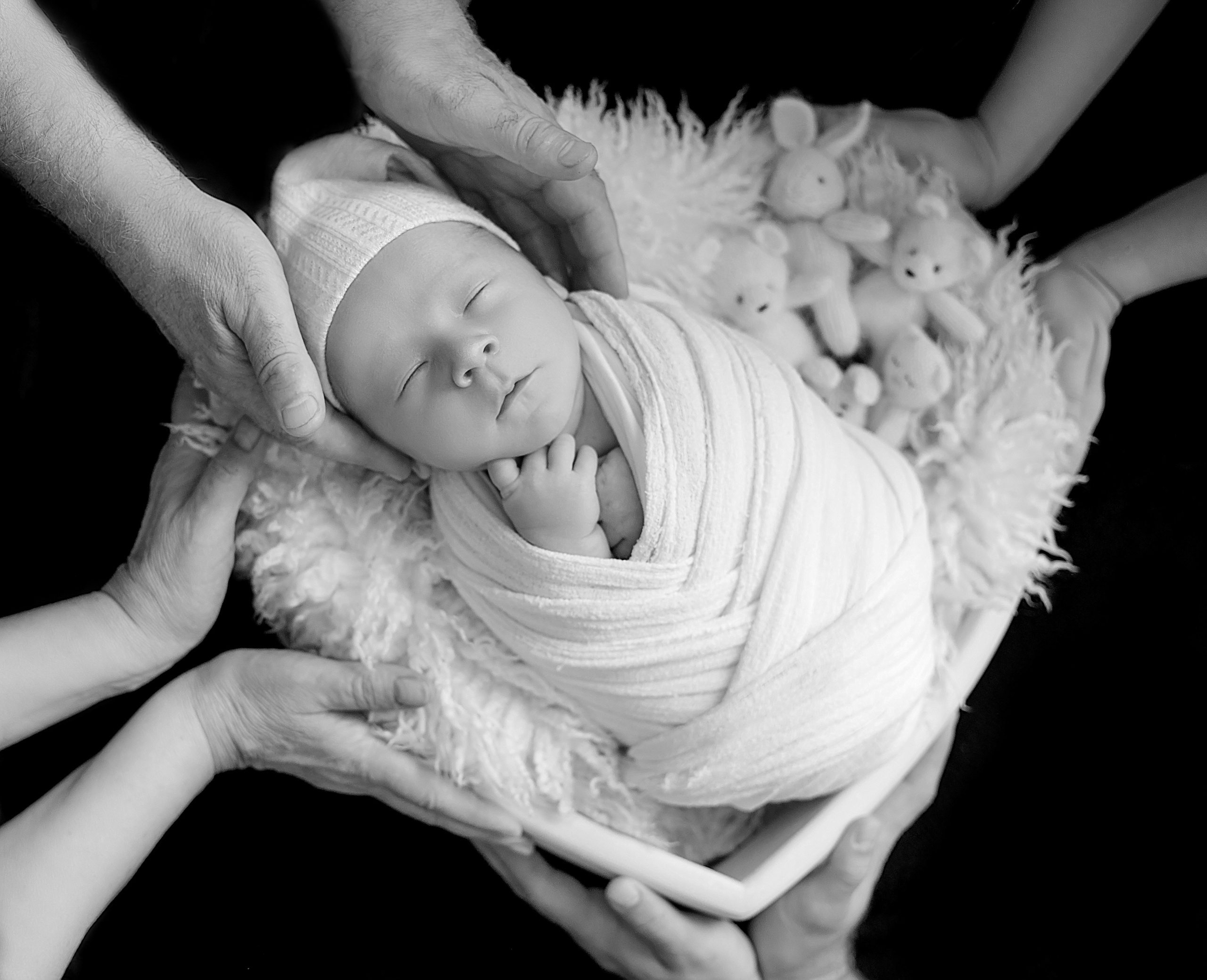 Лев 19 дней. Фотограф новорожденных Краснодар Малышенко Надежда