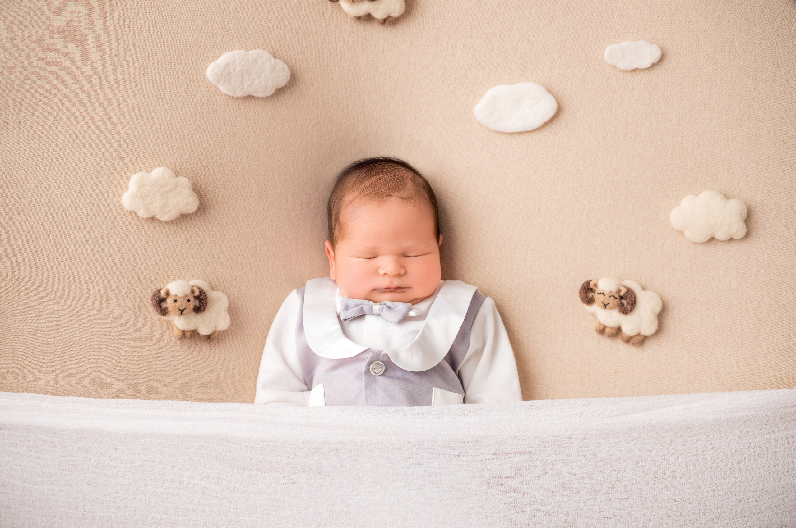 Лев 8 дней. Фотограф новорожденных Краснодар Малышенко Надежда