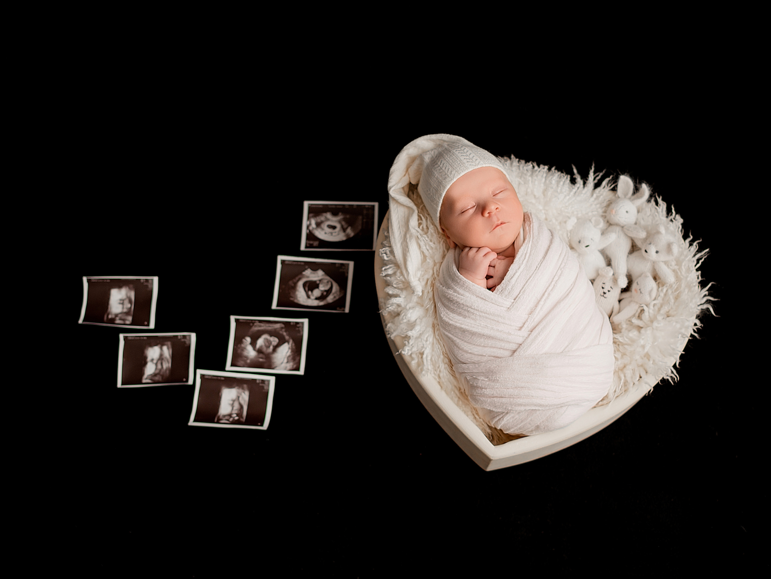 Лев 19 дней. Фотограф новорожденных Краснодар Малышенко Надежда