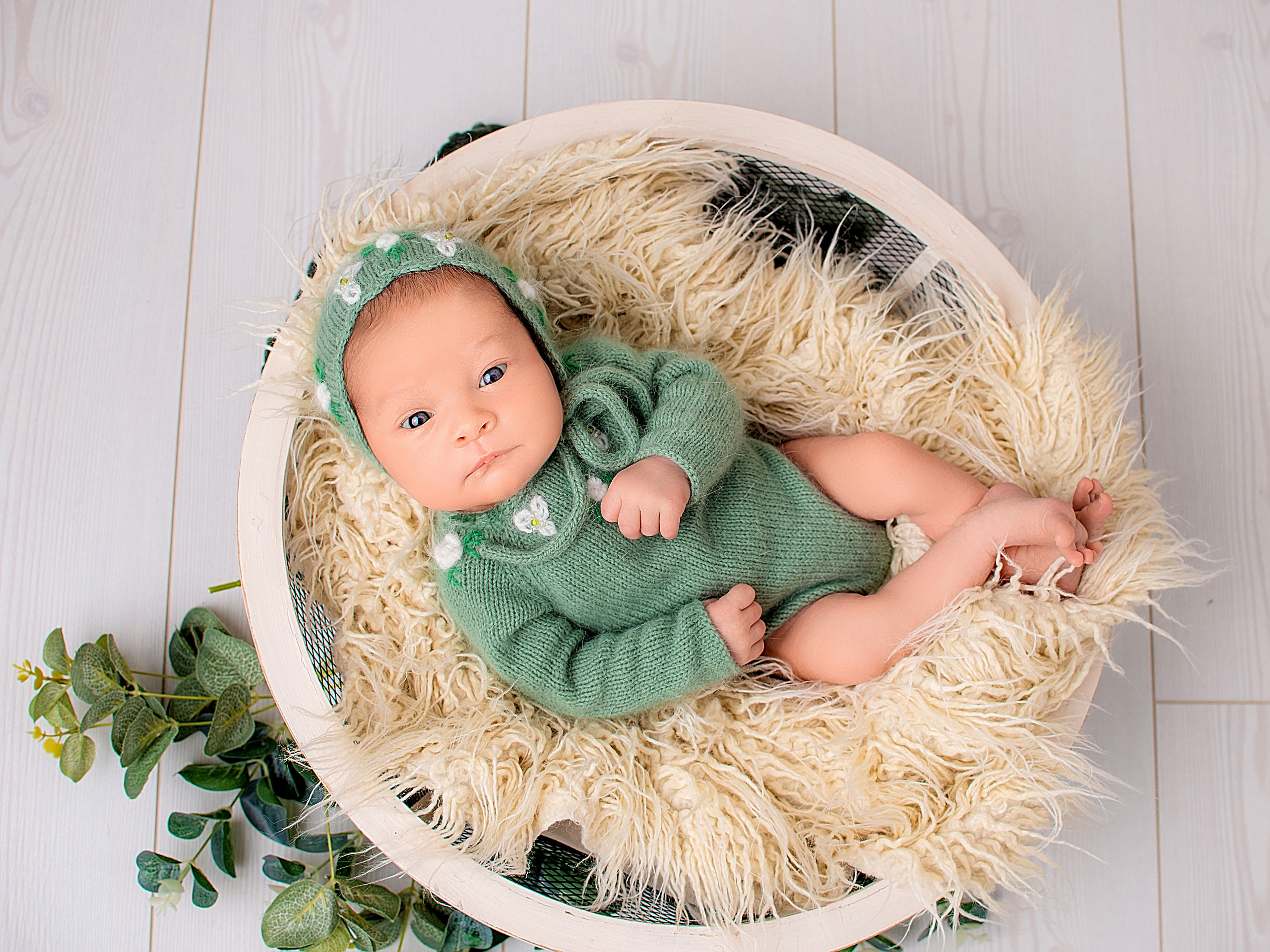 Мила 13 дней. Фотограф новорожденных Краснодар Малышенко Надежда