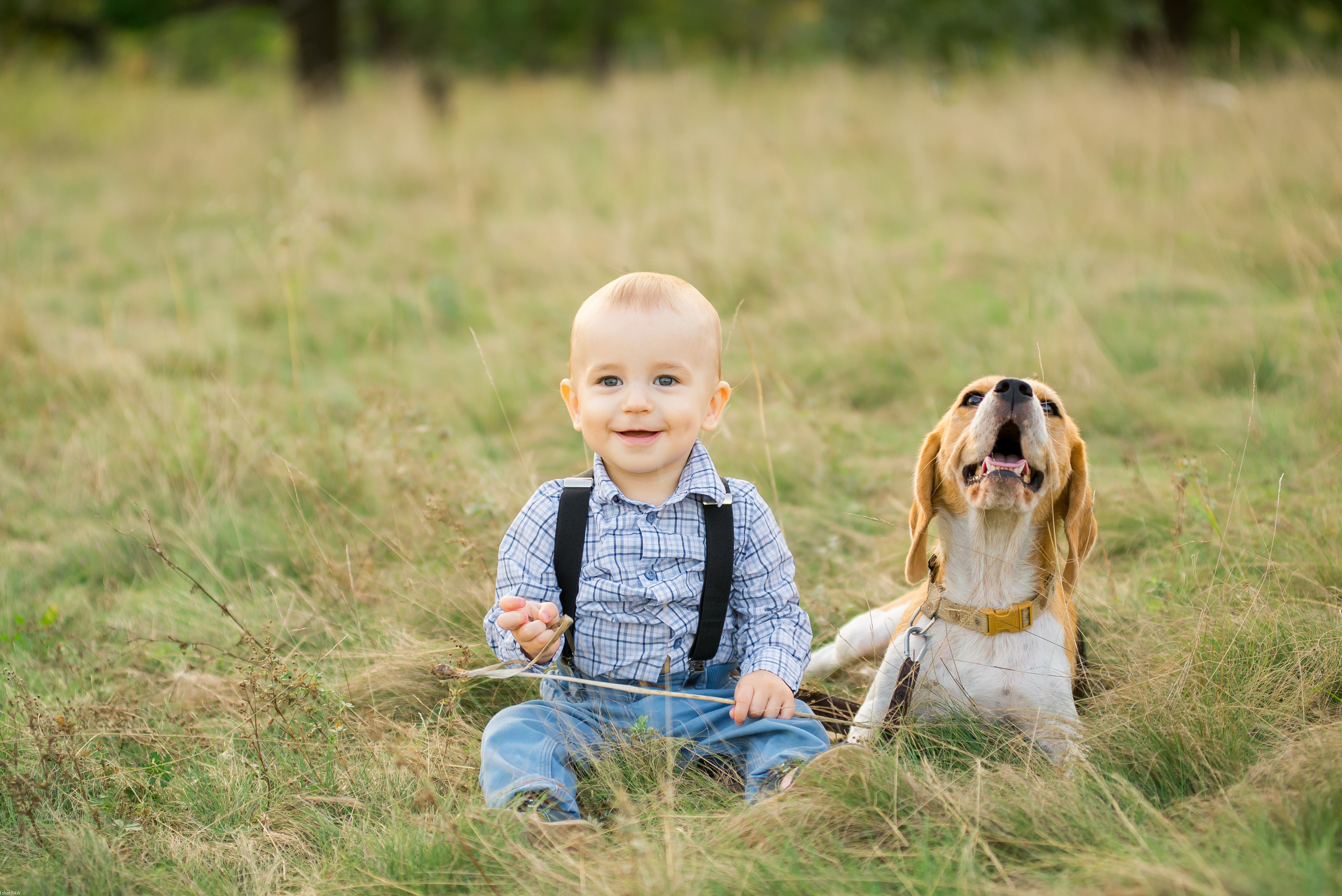 Саша, Наташа и маленький Савва. Свадебный фотограф в Рязани Вагнер Владимир