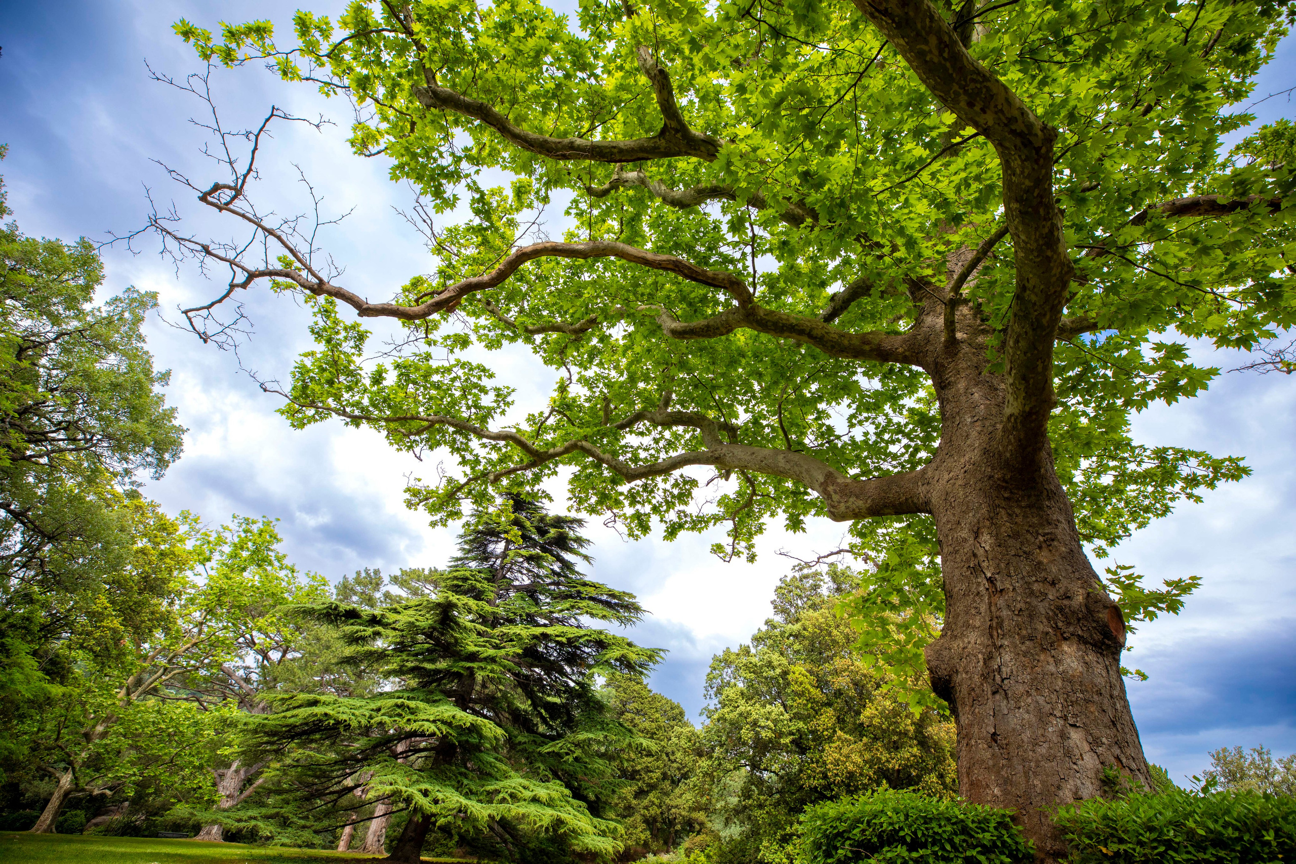 Фото о жизни