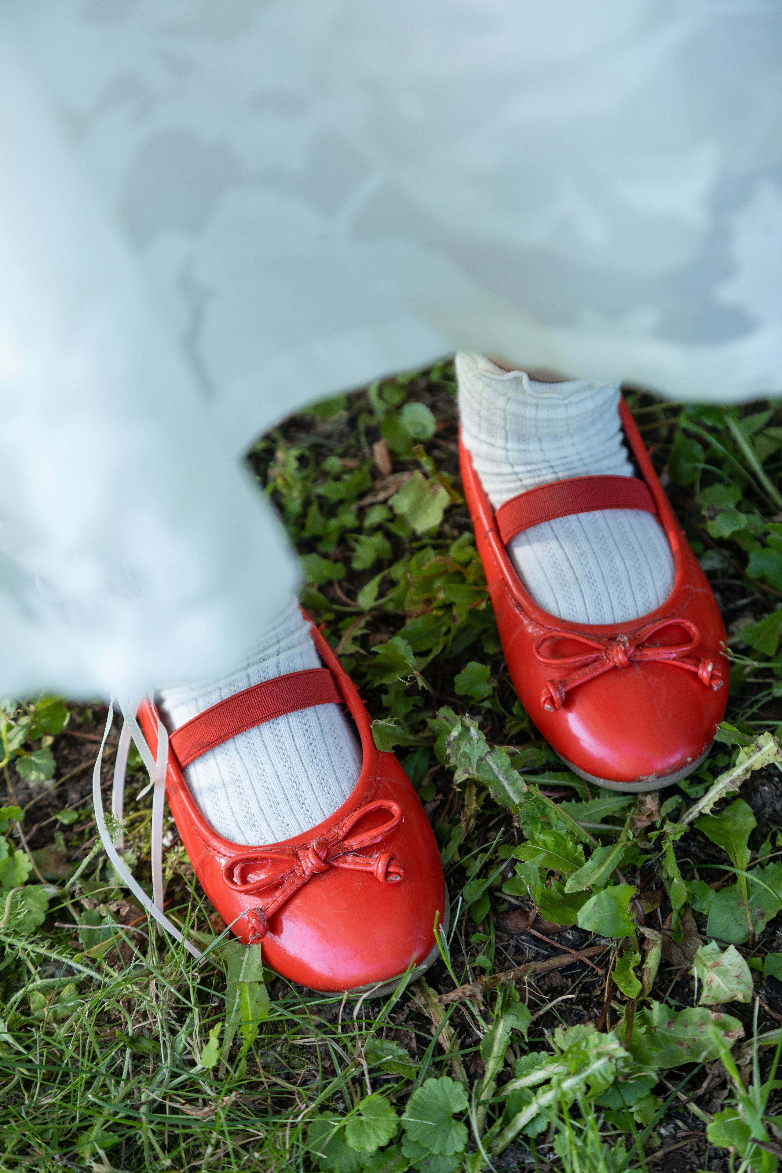 WONDERLAND. Главная