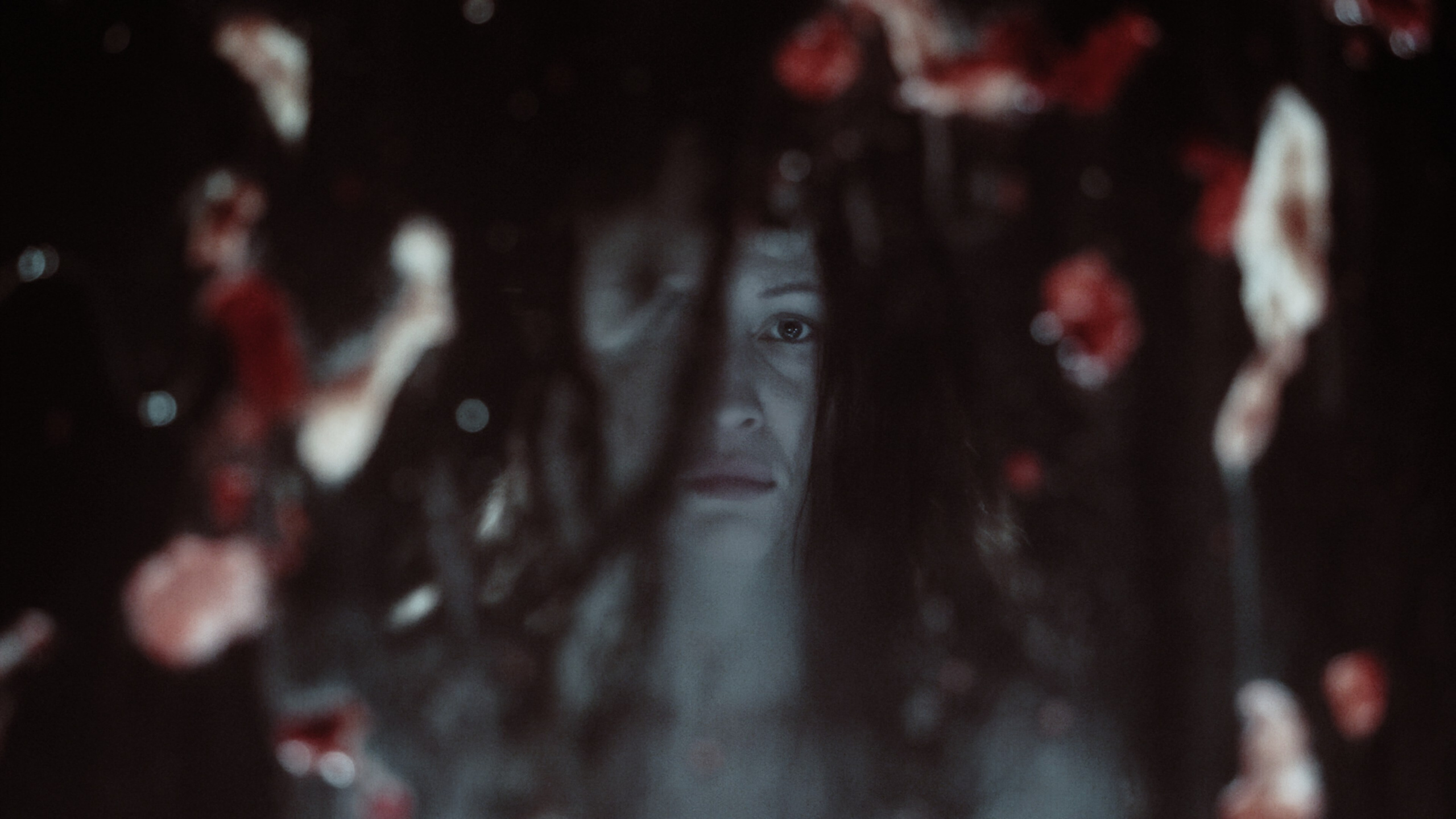 DUKE BLUEBEARD'S CASTLE (2022). ALEXEI RODIONOV