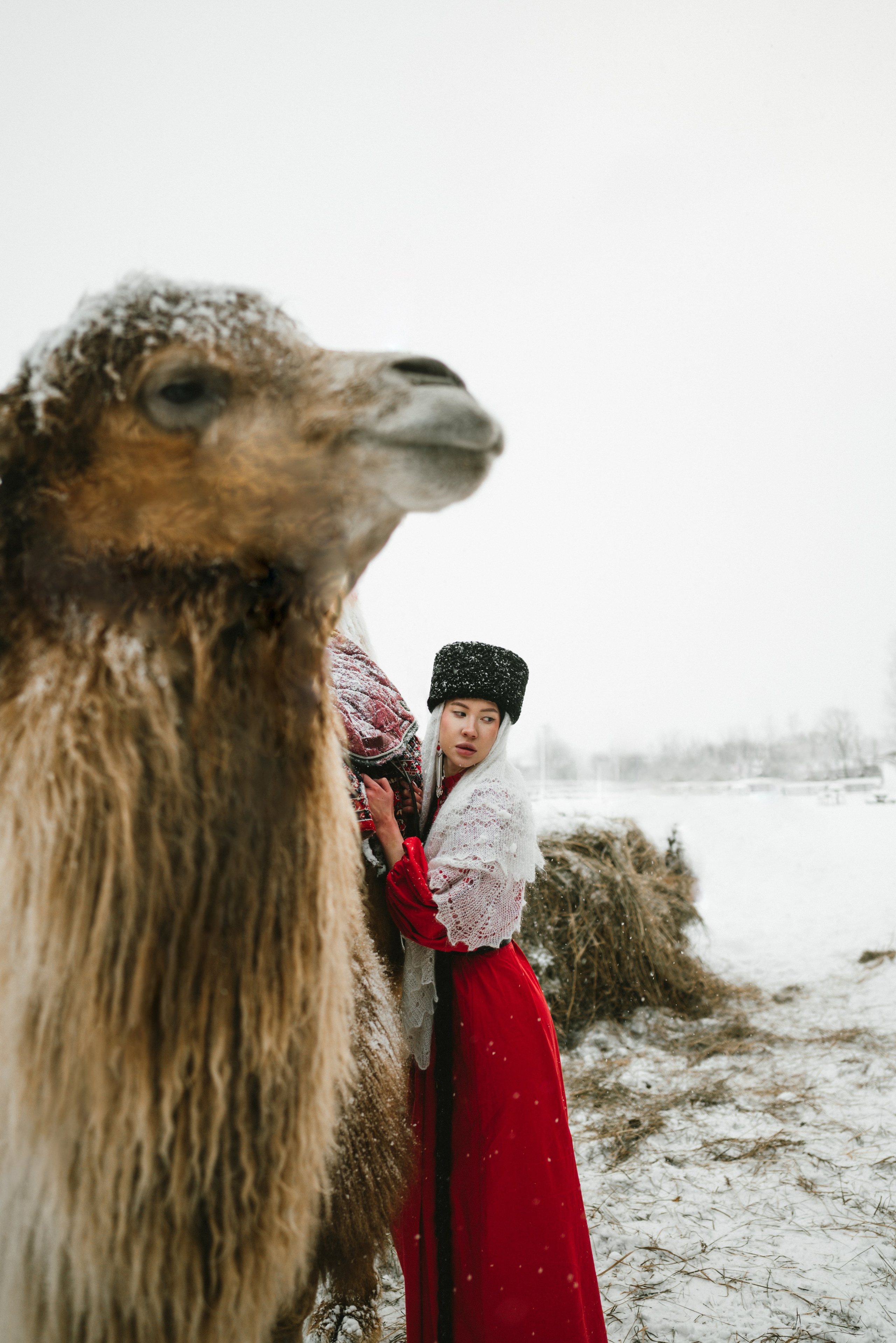 Индивидуальная. Виктория Кутуева Фотограф Санкт-Петербург