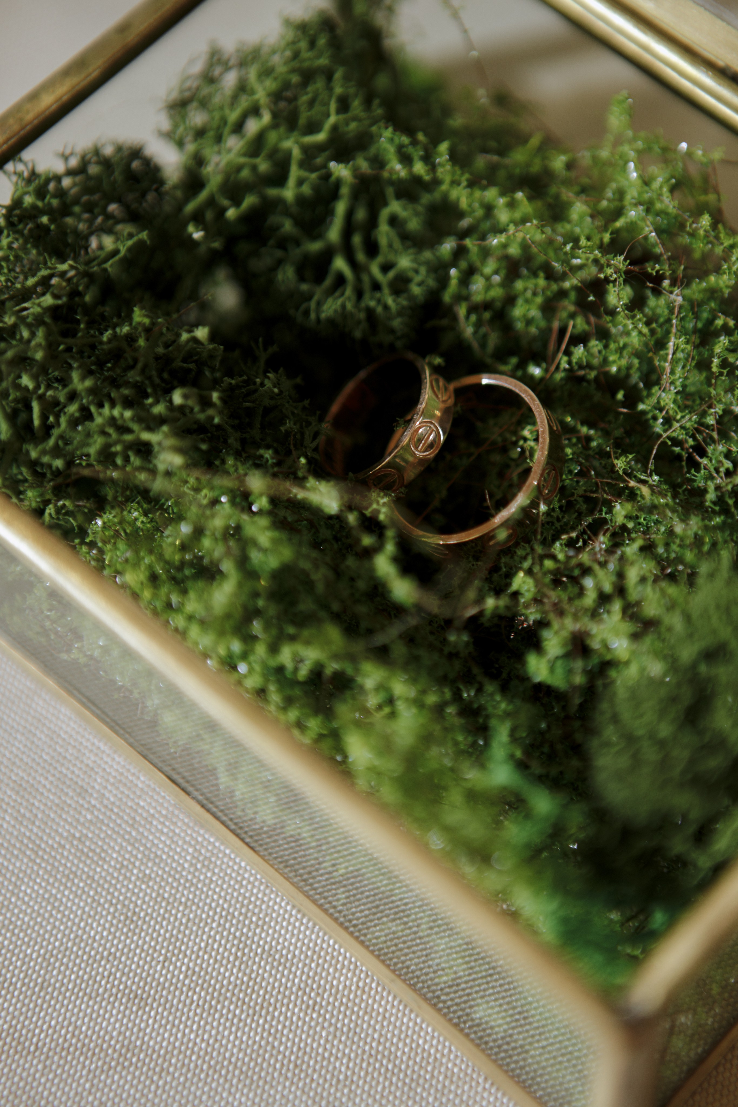 Сергей и Алина. Фотограф в Саратове Сабина Иманова