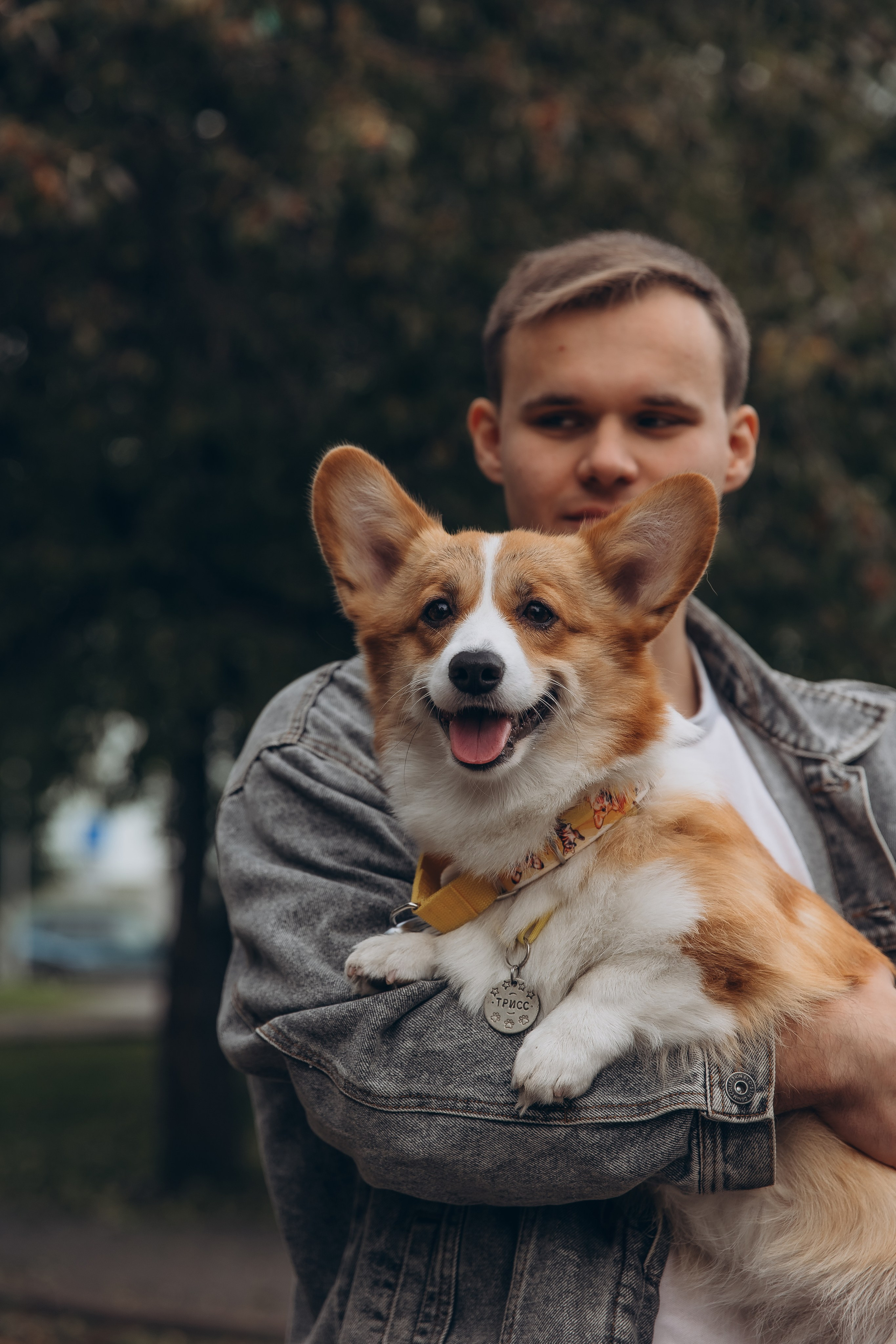«Королевский Корги» 2. Фотограф Алина Ионычева в Новосибирске