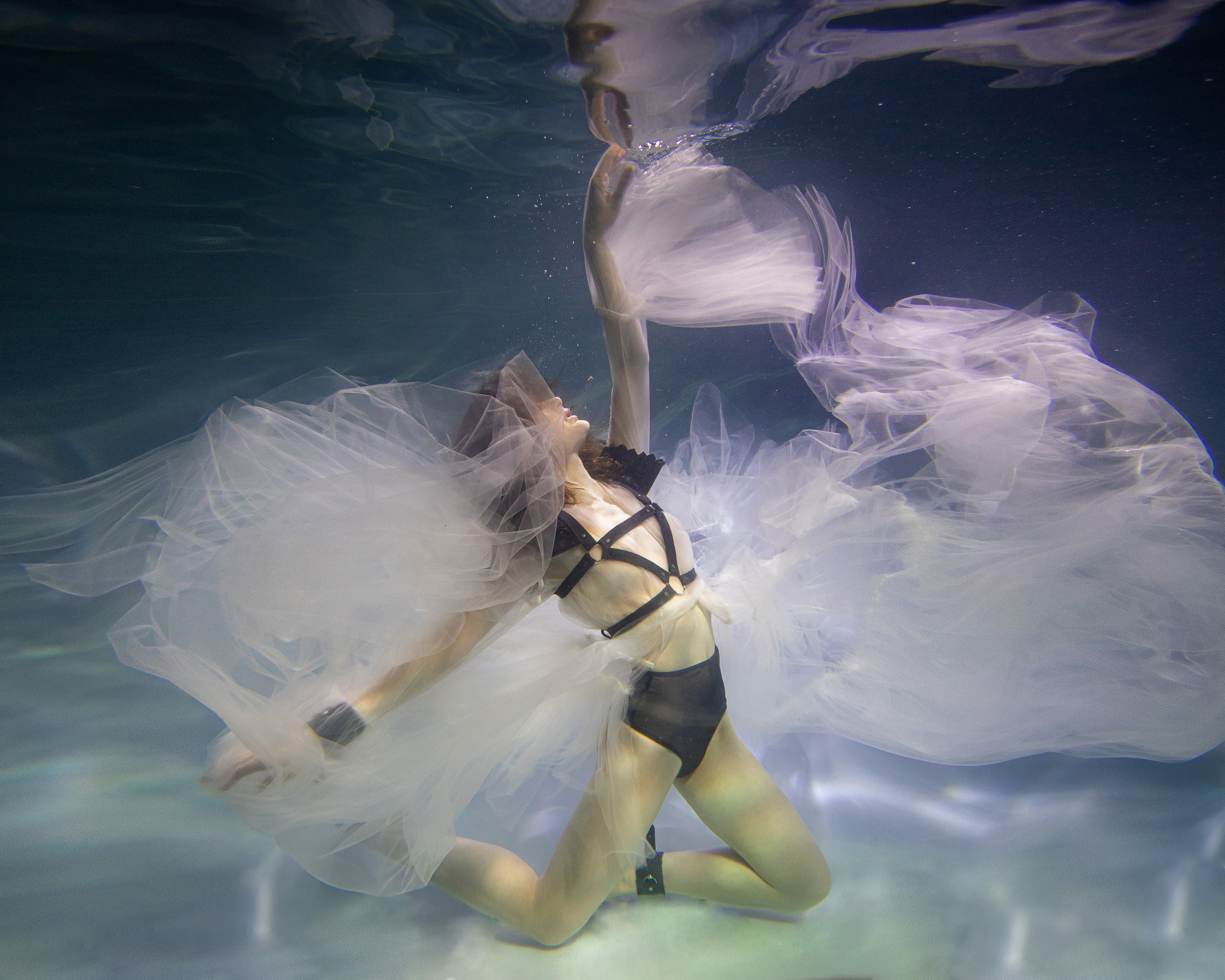 Аква общая. Марковкина КрисТина