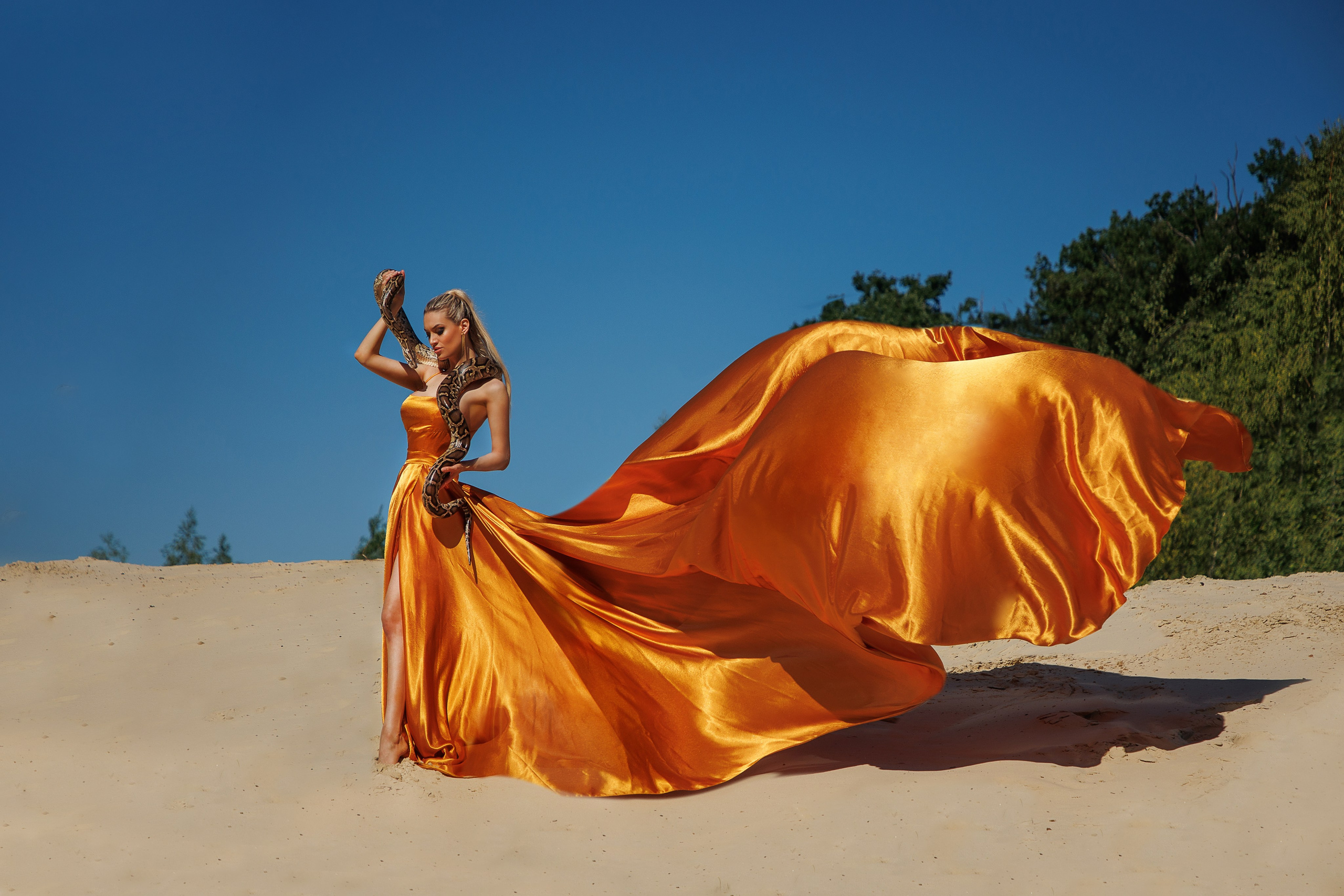 Алиса и зменя. Марковкина КрисТина