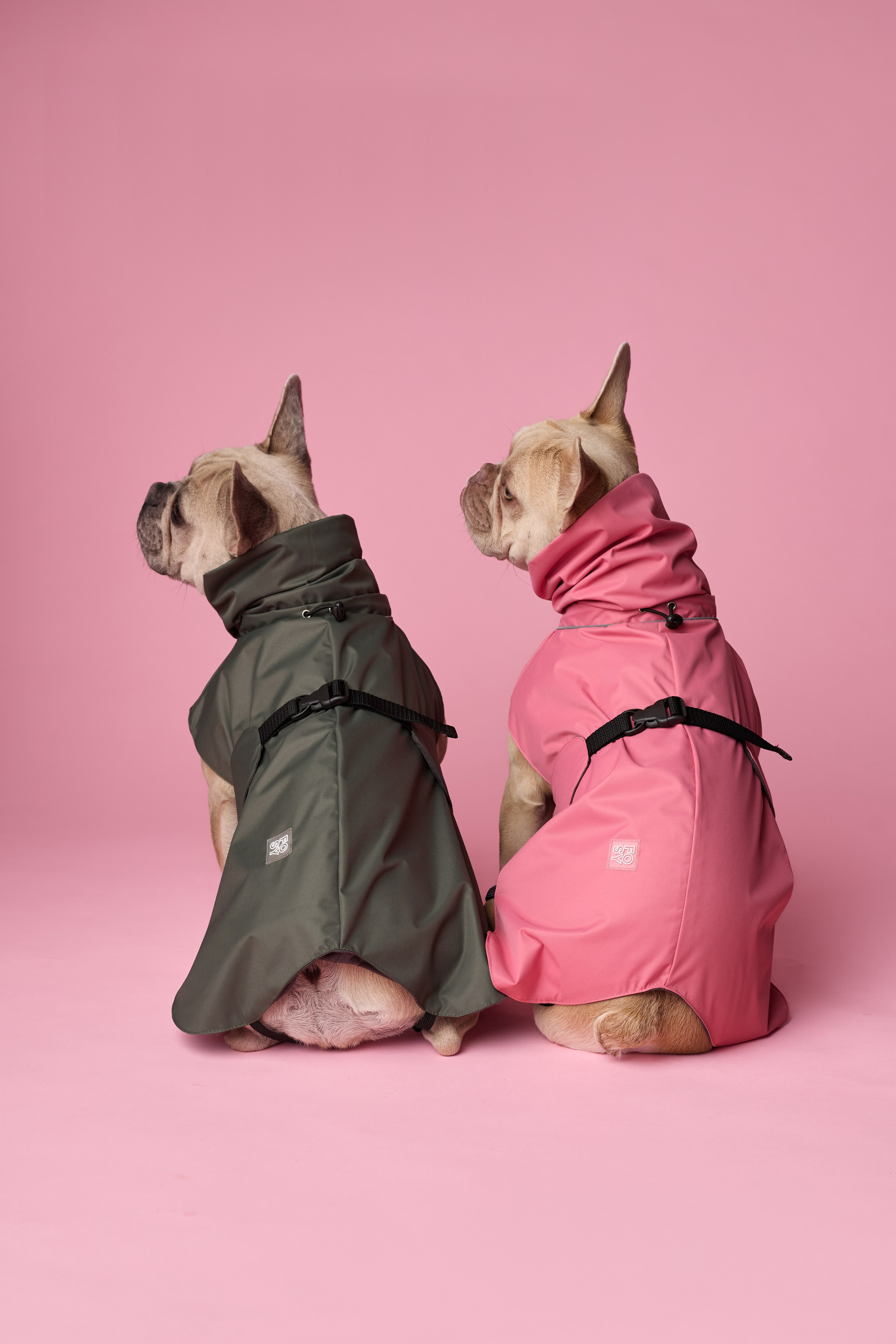 FOSY. Фотограф|Москва-СПб| Анастасия Рябинина