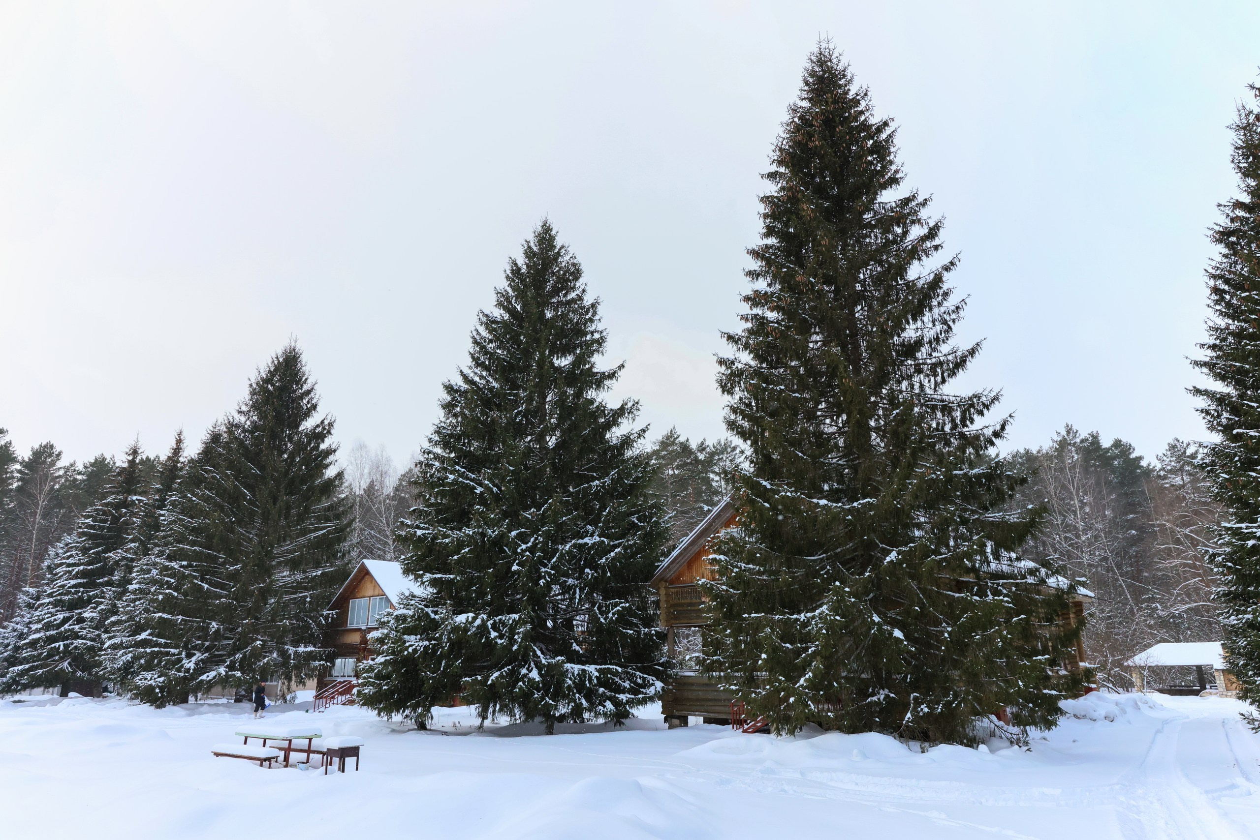 База отдыха «Приокская поляна». Фотограф в Туле Крупский АнДРей. Фотостудия «КАДР71» в Туле