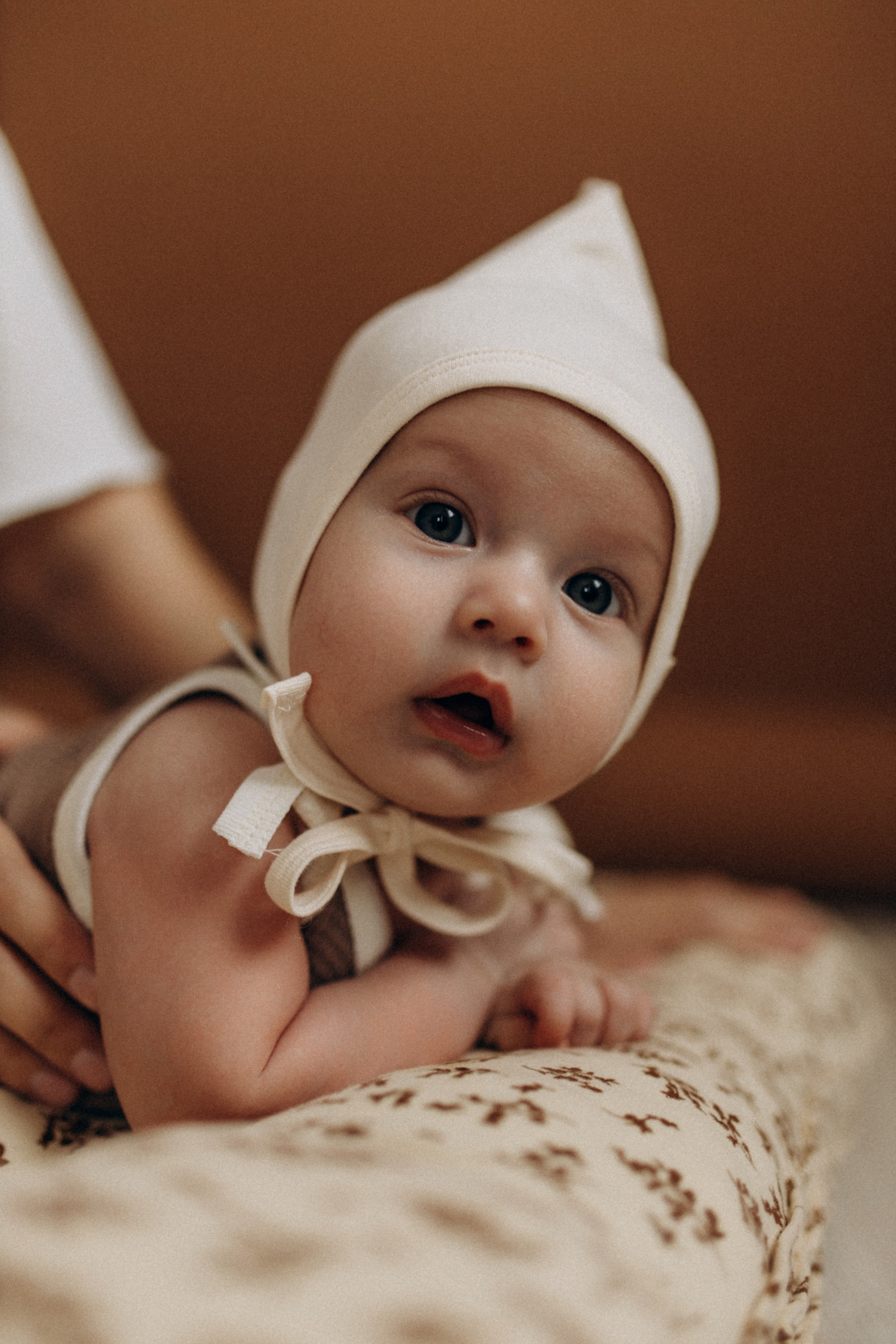 София и Леон. Услуги