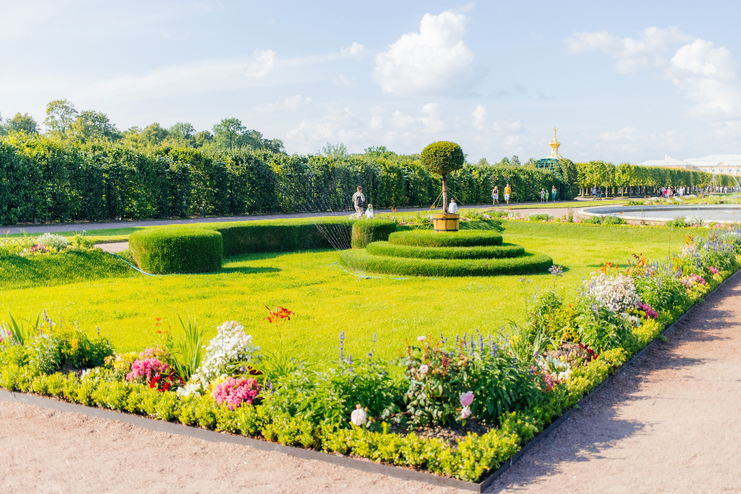 Фотосессия в Петергофе и Санкт-Петербурге