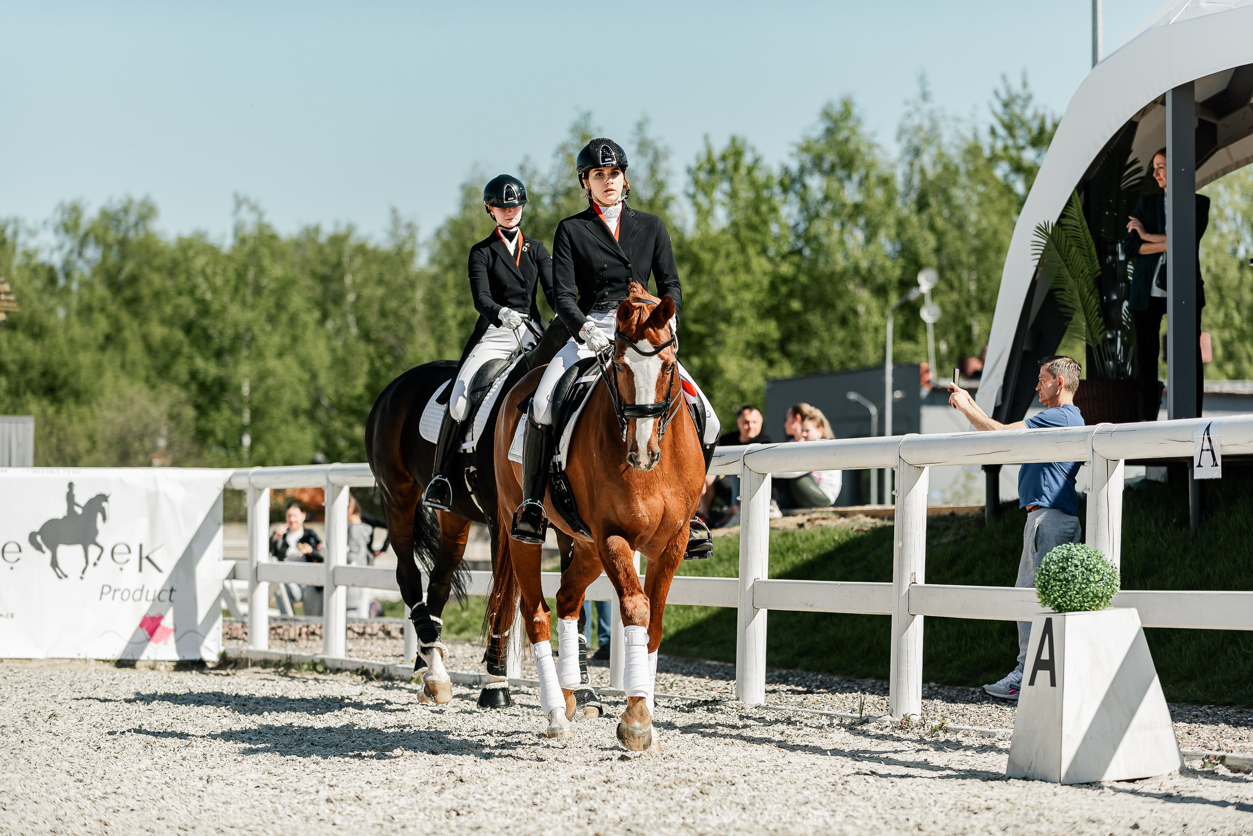 РЕПОРТАЖ МКК ВОЛЬТ «LA TULIPS». Конный фотограф Куракина Дарья • Фотосессии с лошадьми