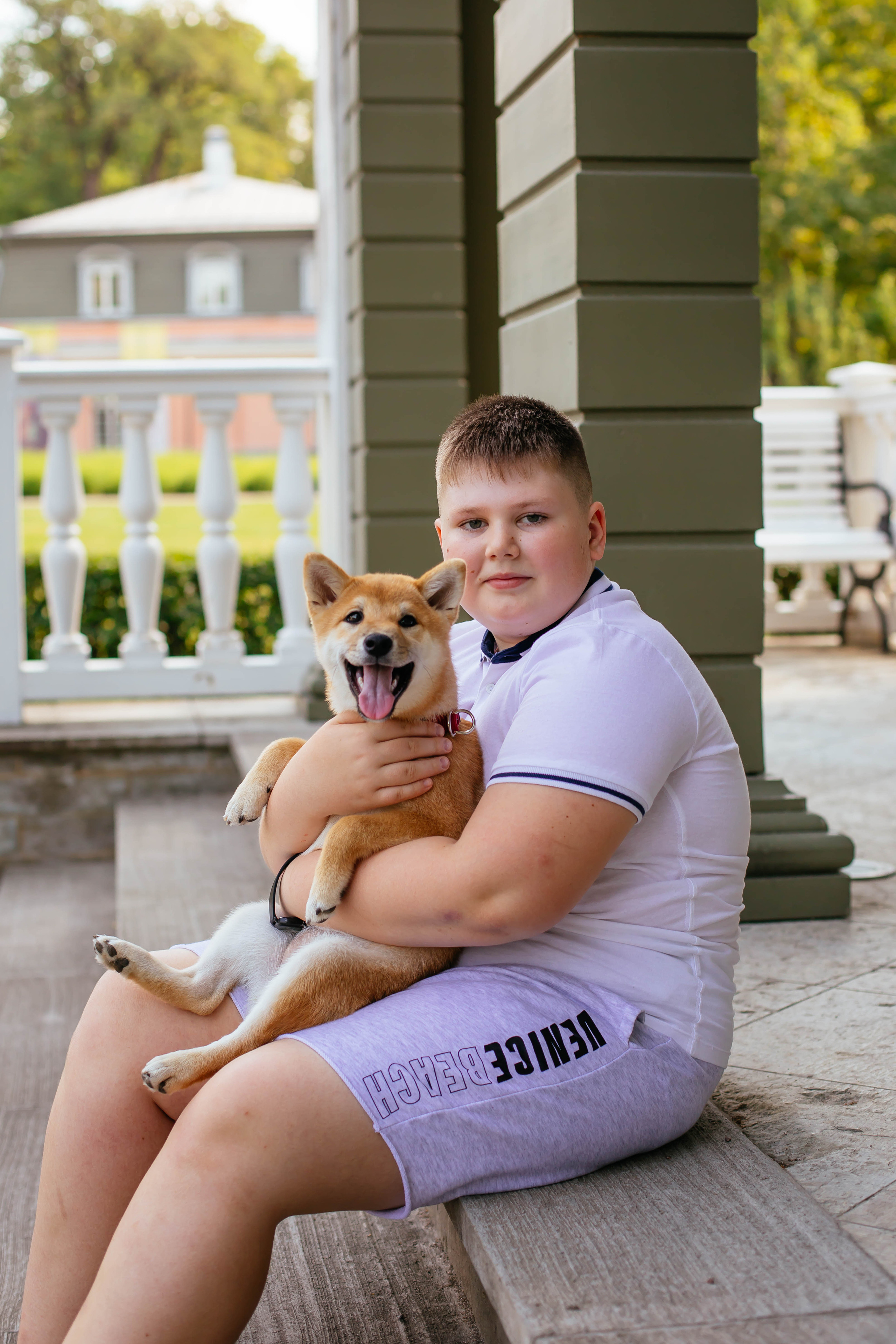 RUBYLIGHT JULY. AMERICAN AKITA RUBYLIGHT KENNEL I SHIBA-INU