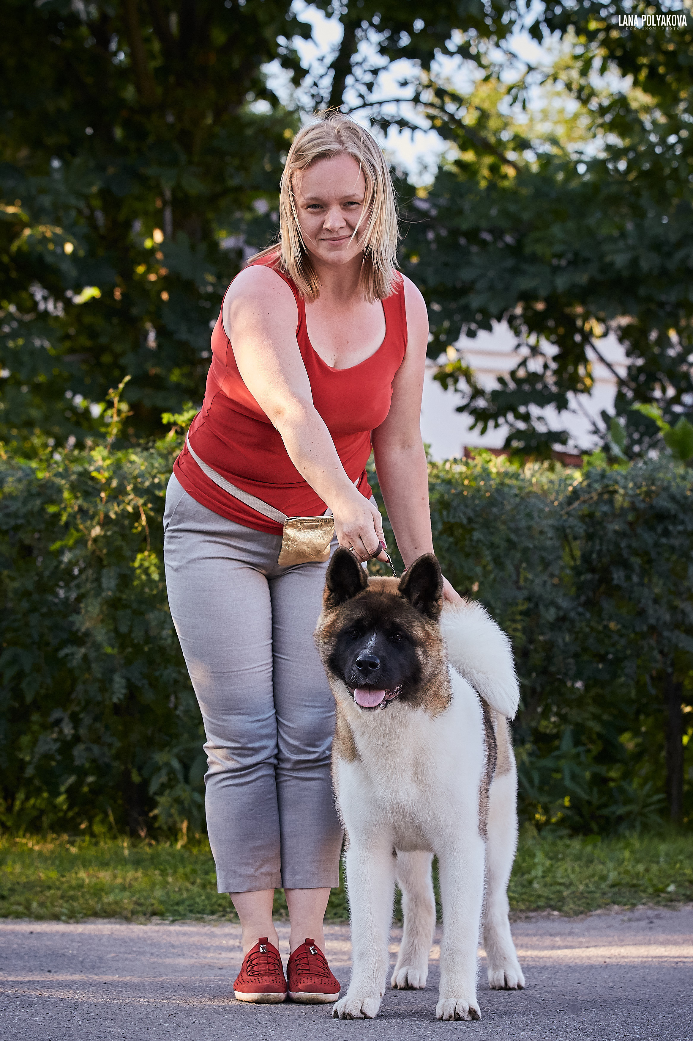 RUBYLIGHT BIYA * Бия американская акита Рубилайт щенки питомник