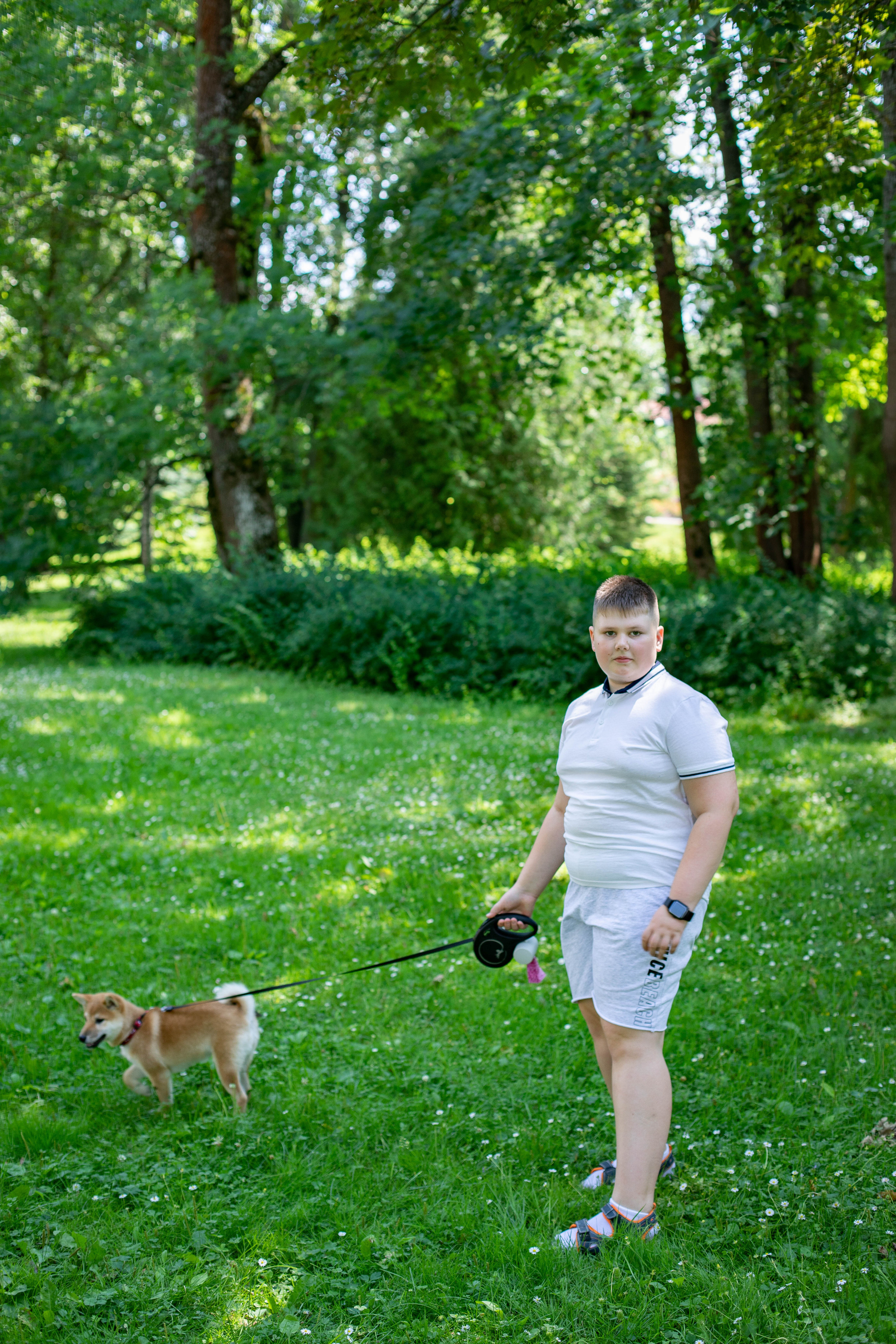 RUBYLIGHT JULY. AMERICAN AKITA RUBYLIGHT KENNEL I SHIBA-INU