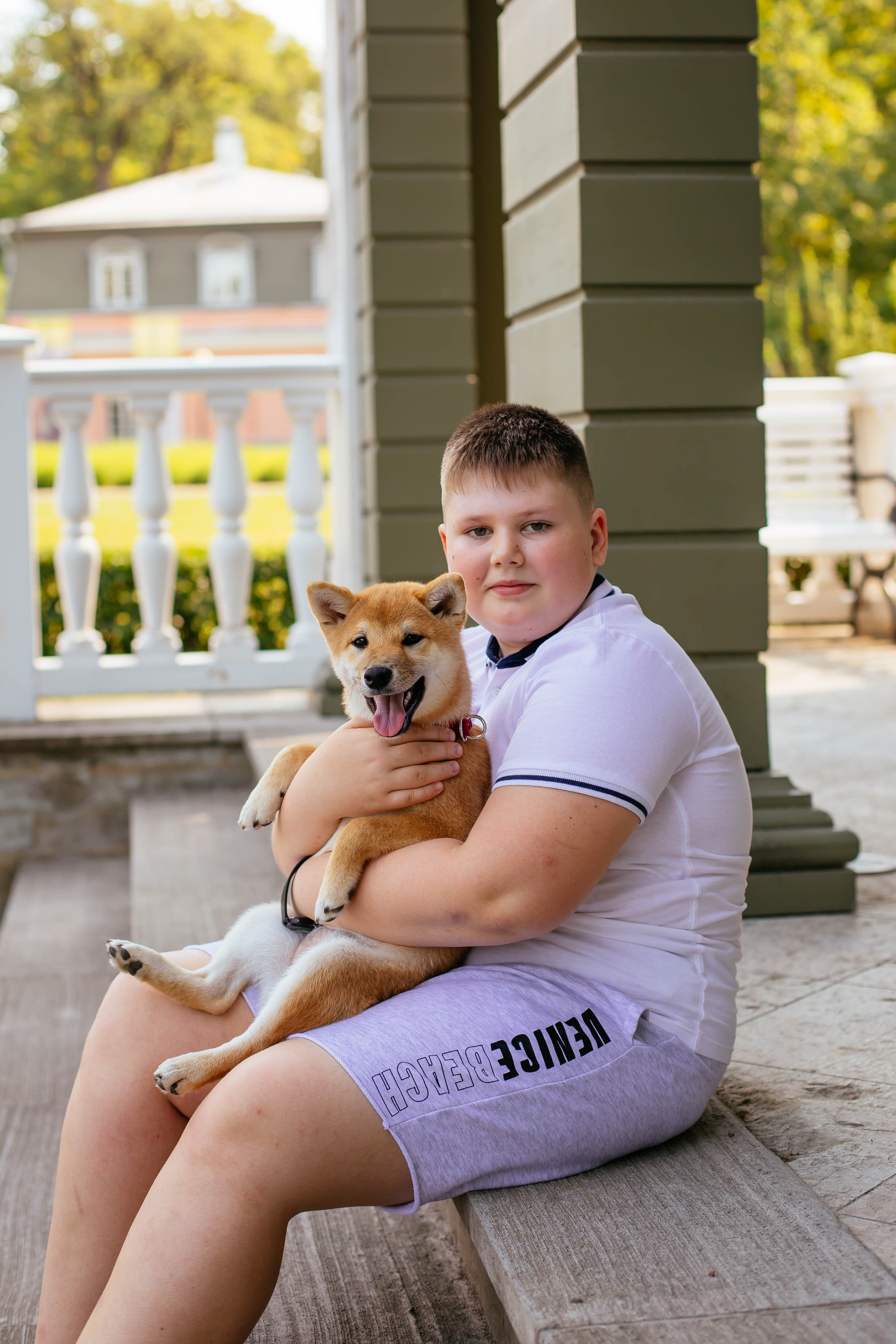 RUBYLIGHT JULY. AMERICAN AKITA RUBYLIGHT KENNEL I SHIBA-INU