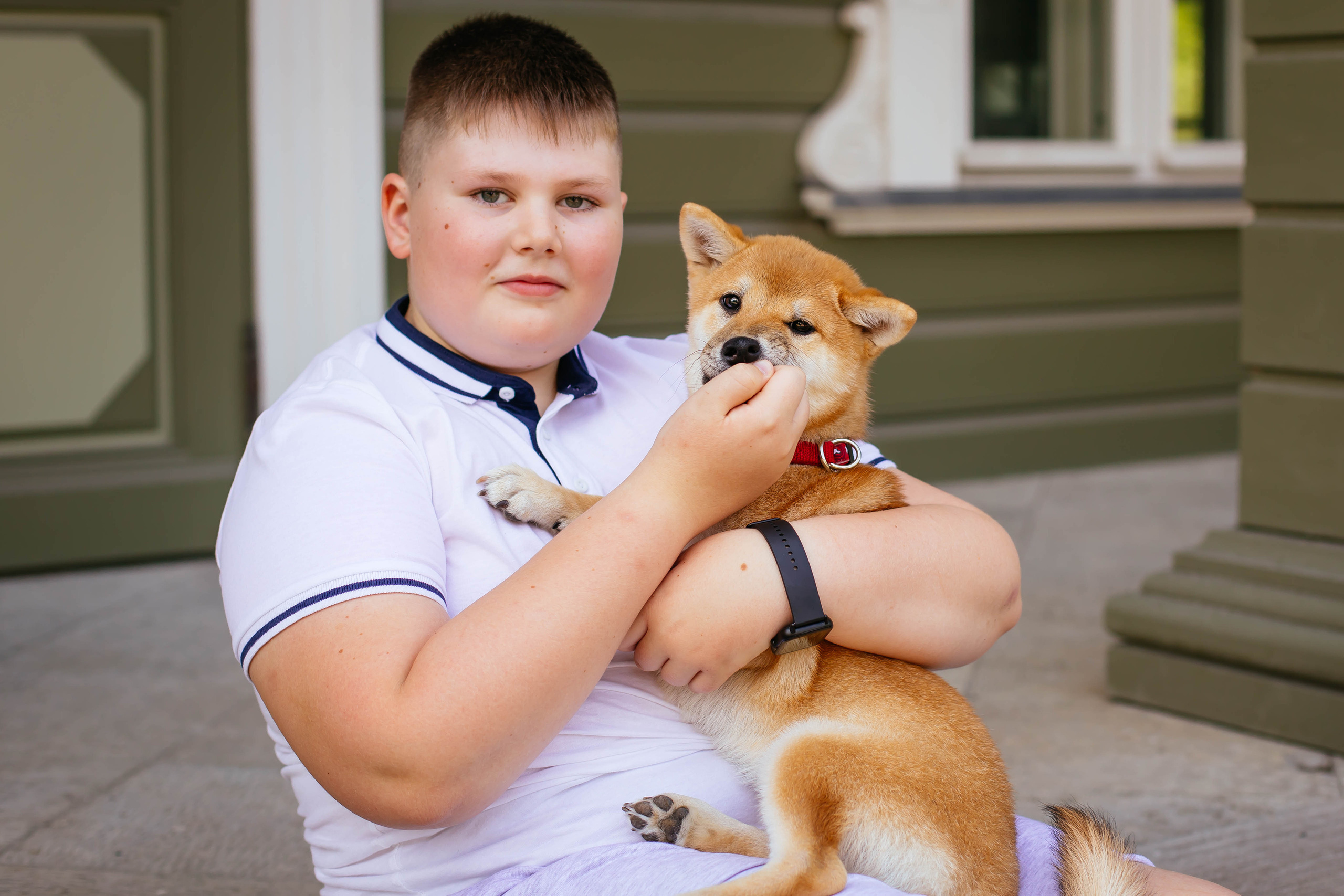 RUBYLIGHT JULY. AMERICAN AKITA RUBYLIGHT KENNEL I SHIBA-INU