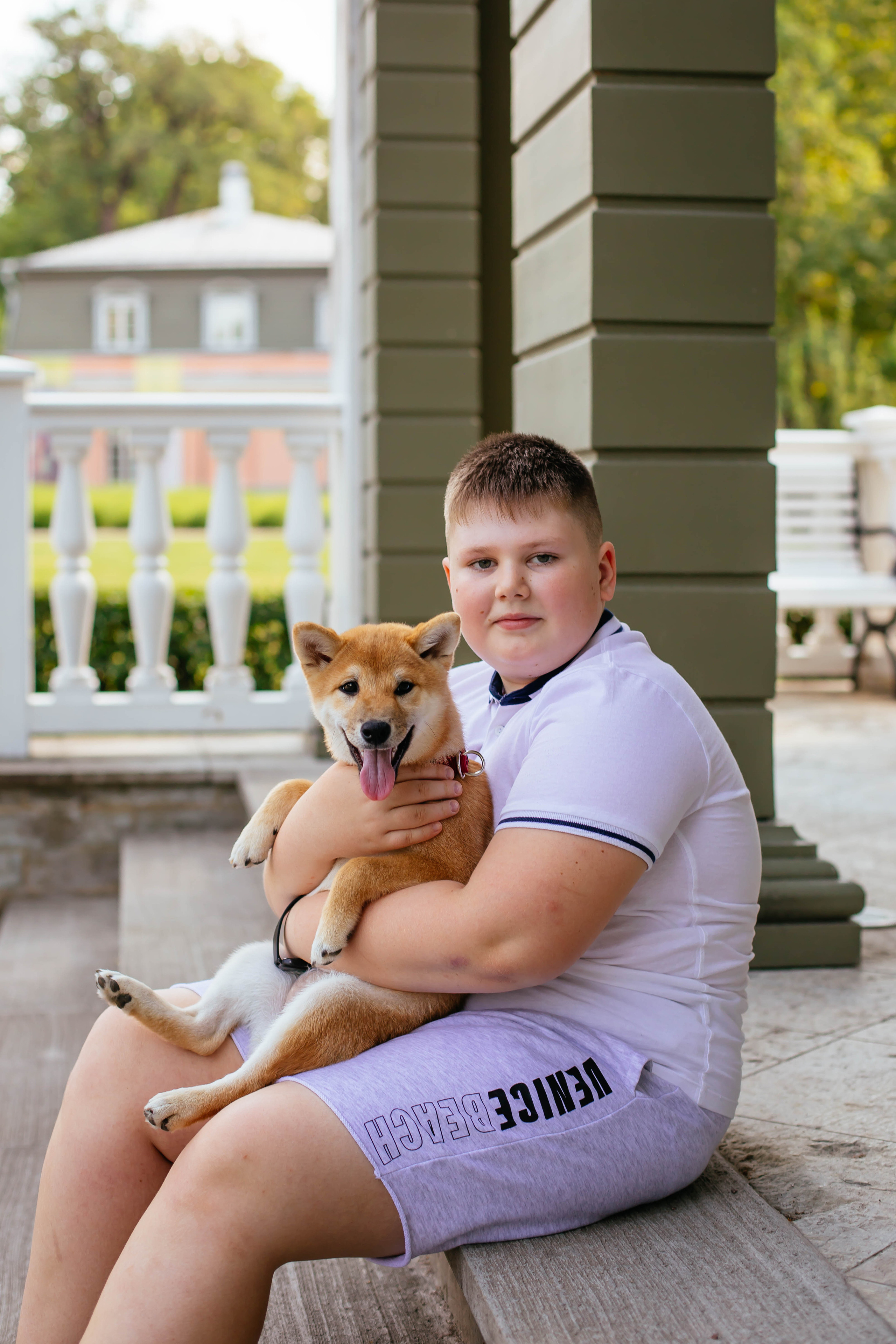 RUBYLIGHT JULY. AMERICAN AKITA RUBYLIGHT KENNEL I SHIBA-INU