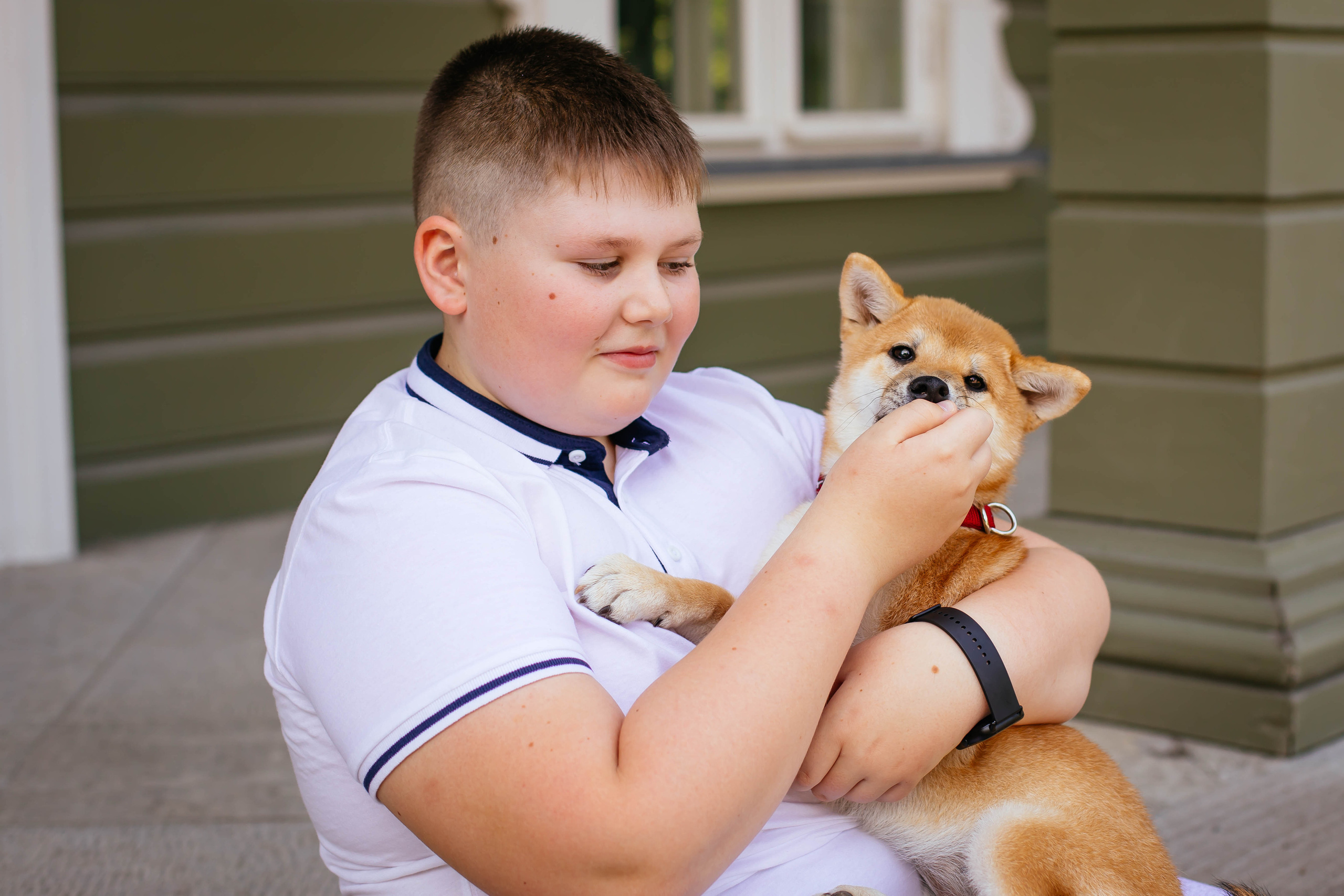 RUBYLIGHT JULY. AMERICAN AKITA RUBYLIGHT KENNEL I SHIBA-INU