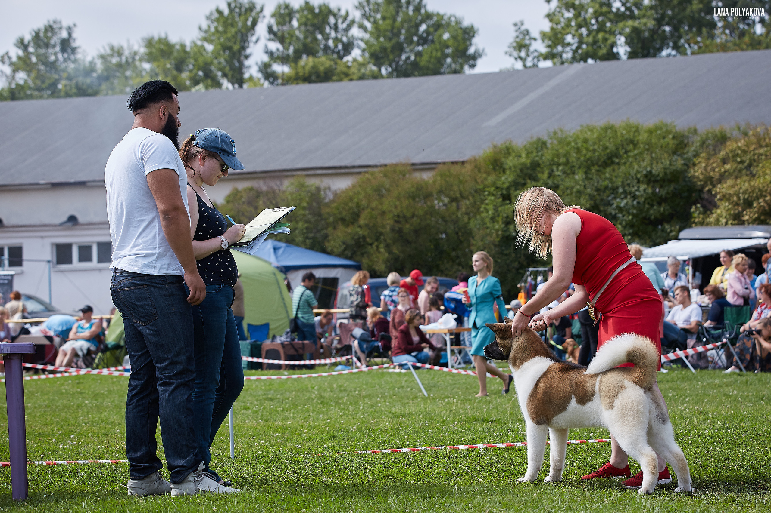 RUBYLIGHT BIYA * Бия американская акита Рубилайт щенки питомник