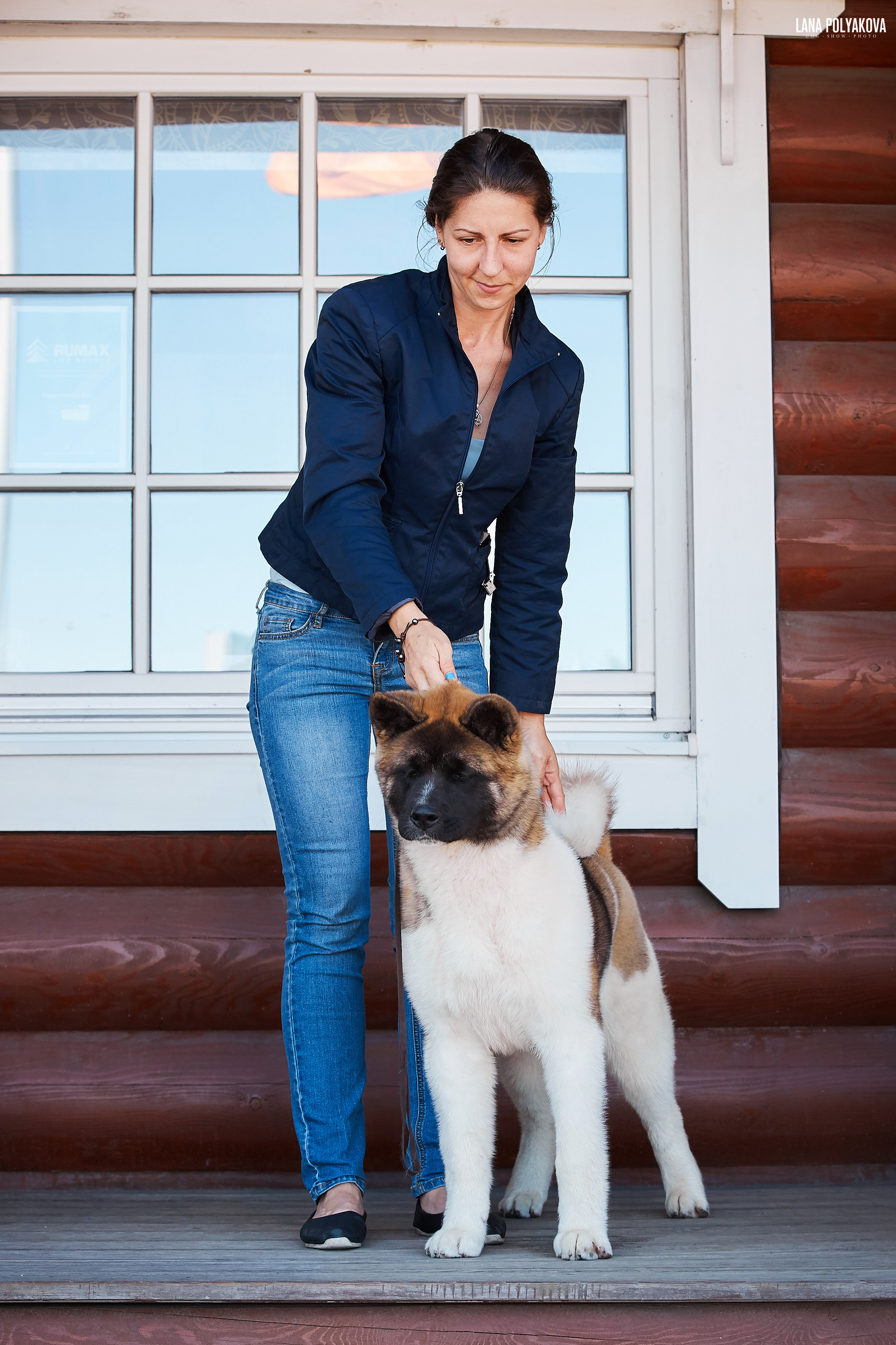 RUBYLIGHT BIYA * Бия американская акита Рубилайт щенки питомник