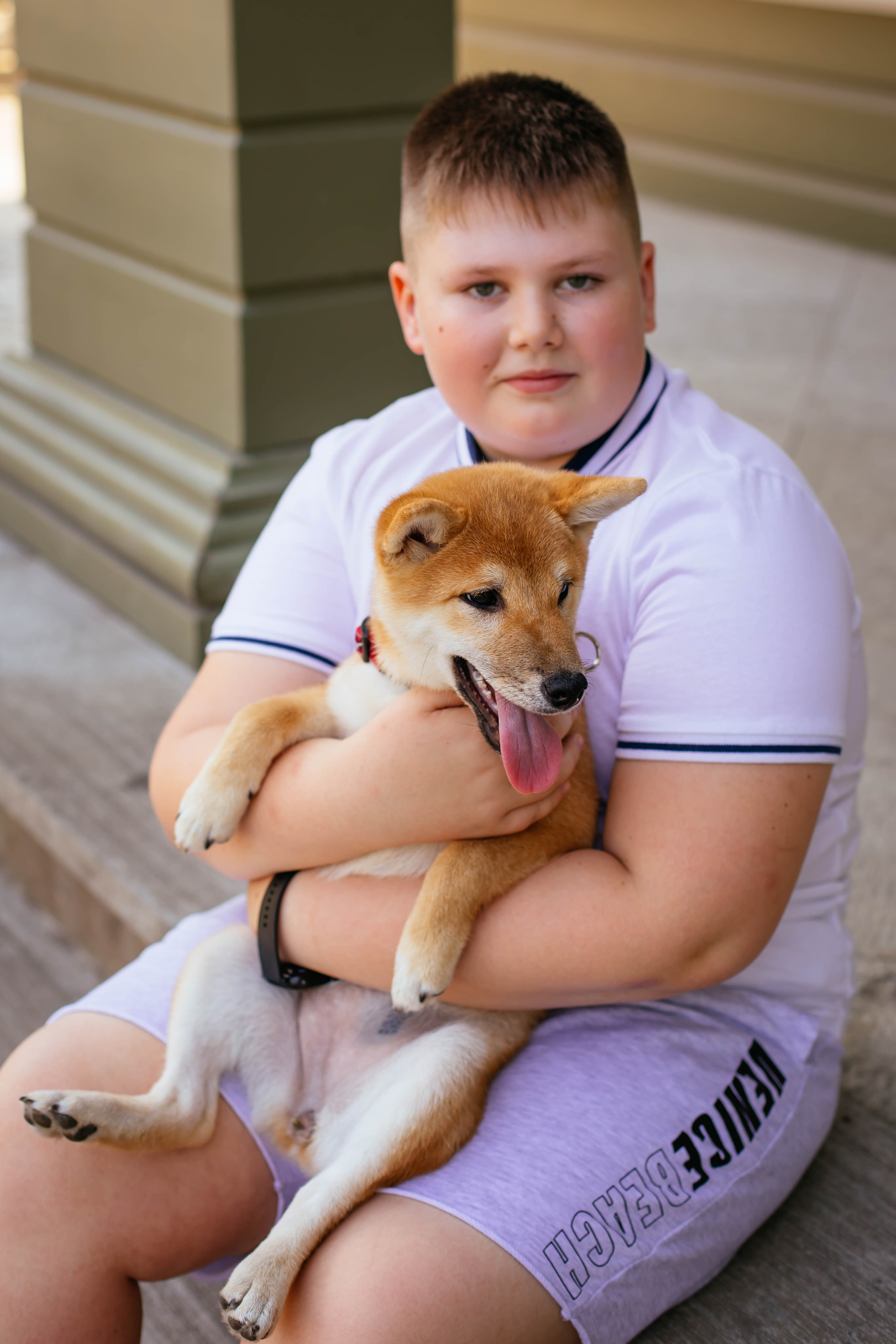 RUBYLIGHT JULY. AMERICAN AKITA RUBYLIGHT KENNEL I SHIBA-INU