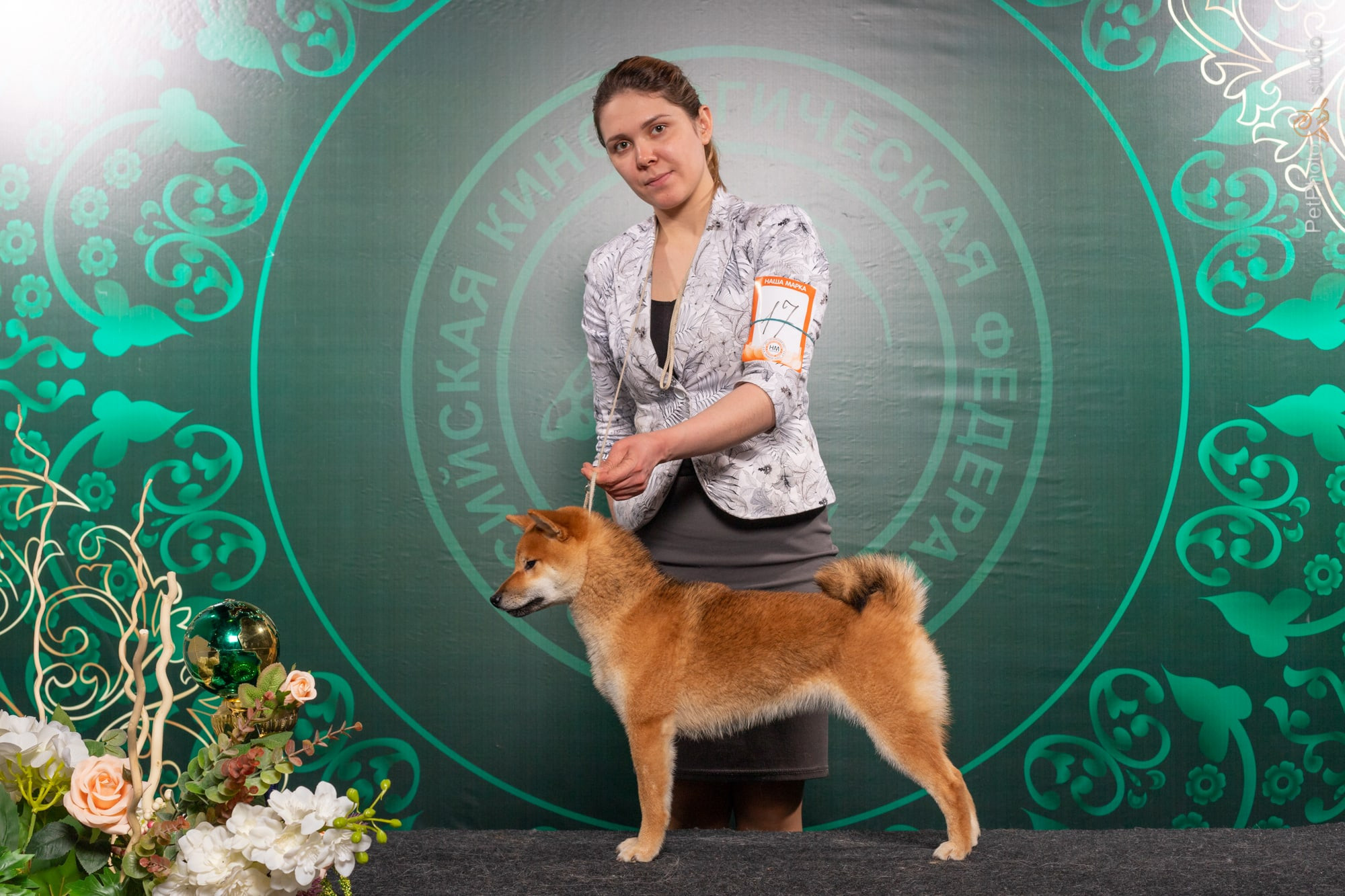 RUBYLIGHT DOLL * Долька (Отец: Хиро * HANDZIMEMESITE HIRO , Мать: Дэва * ZOLOTO PARTII DEVANA GODDESS OF HUNT) сиба