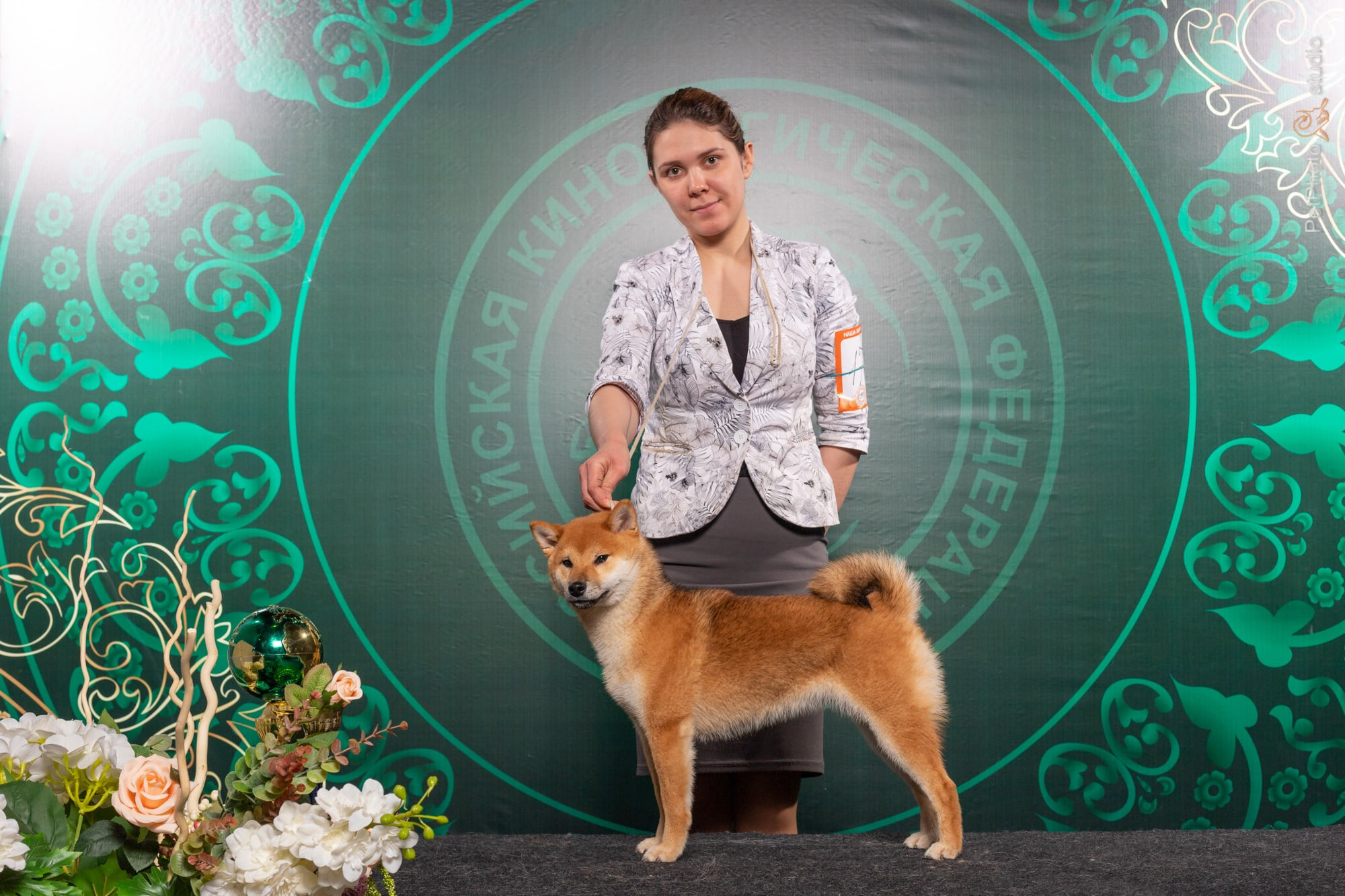 RUBYLIGHT DOLL * Долька (Отец: Хиро * HANDZIMEMESITE HIRO , Мать: Дэва * ZOLOTO PARTII DEVANA GODDESS OF HUNT) сиба