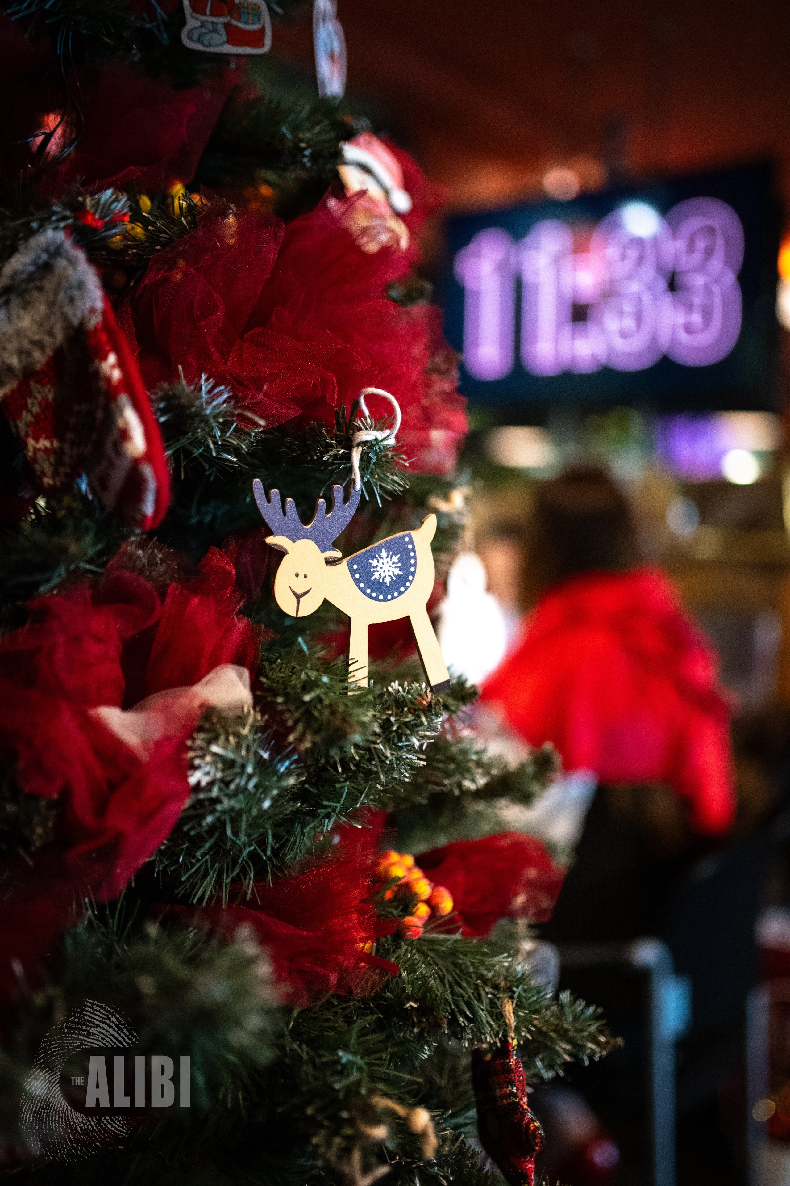 Алиби. Новогоднее расследование 23/12/24. Фотограф в Краснодаре Алена Горбунова