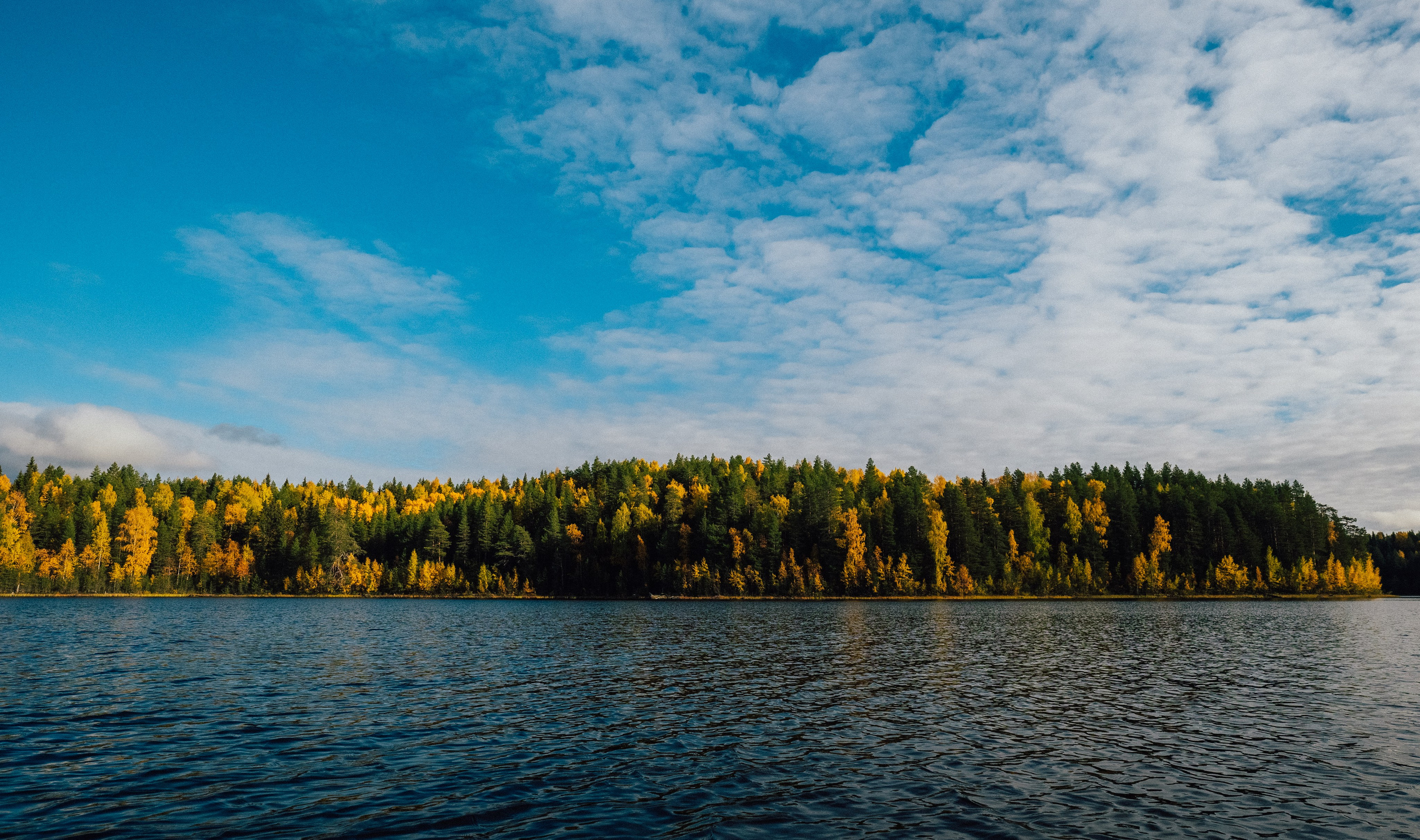 КАРЕЛИЯ / ОСЕНЬ. Создание контента | Фото | Видеосъемка | Александр Ярков