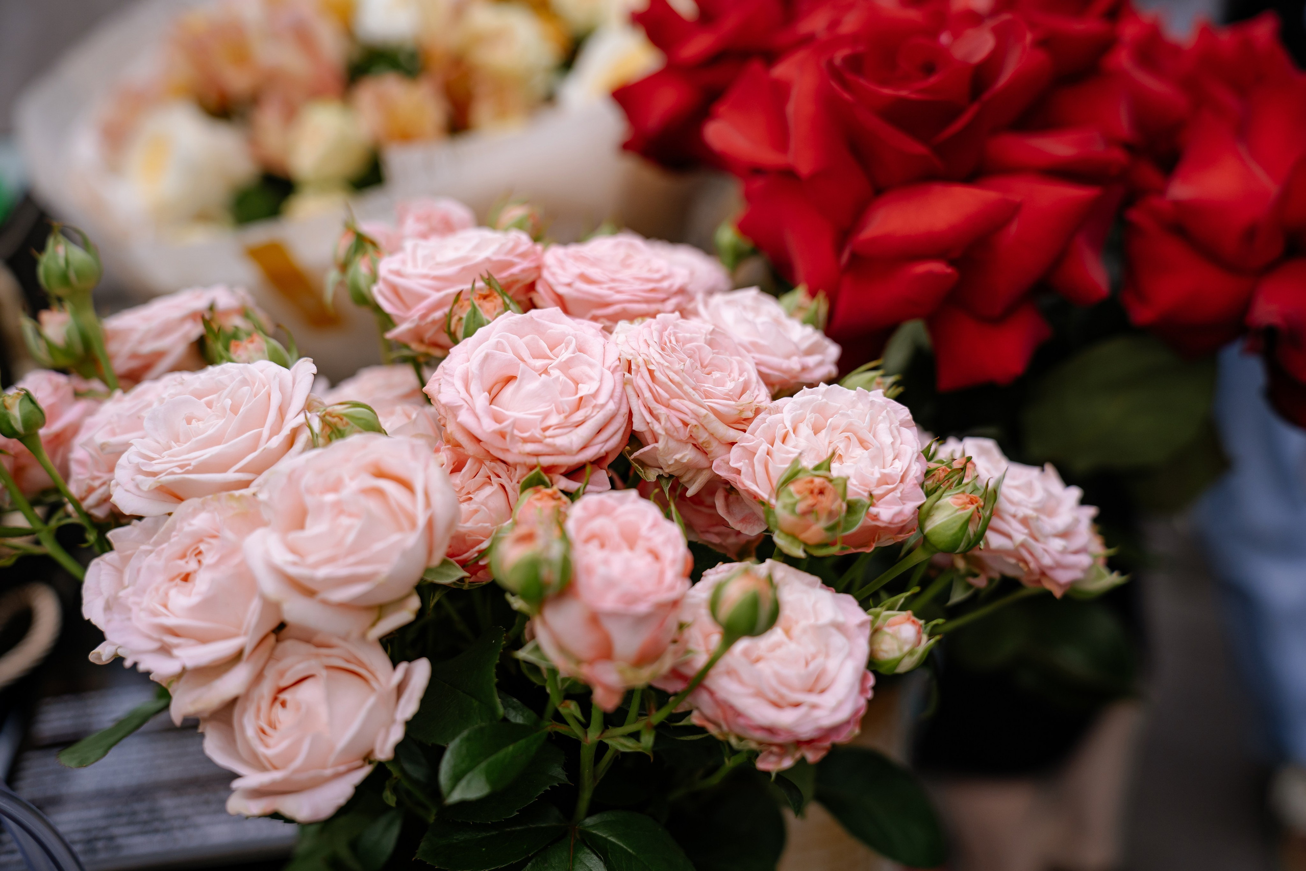 Репортаж. Фотограф в Екатеринбурге