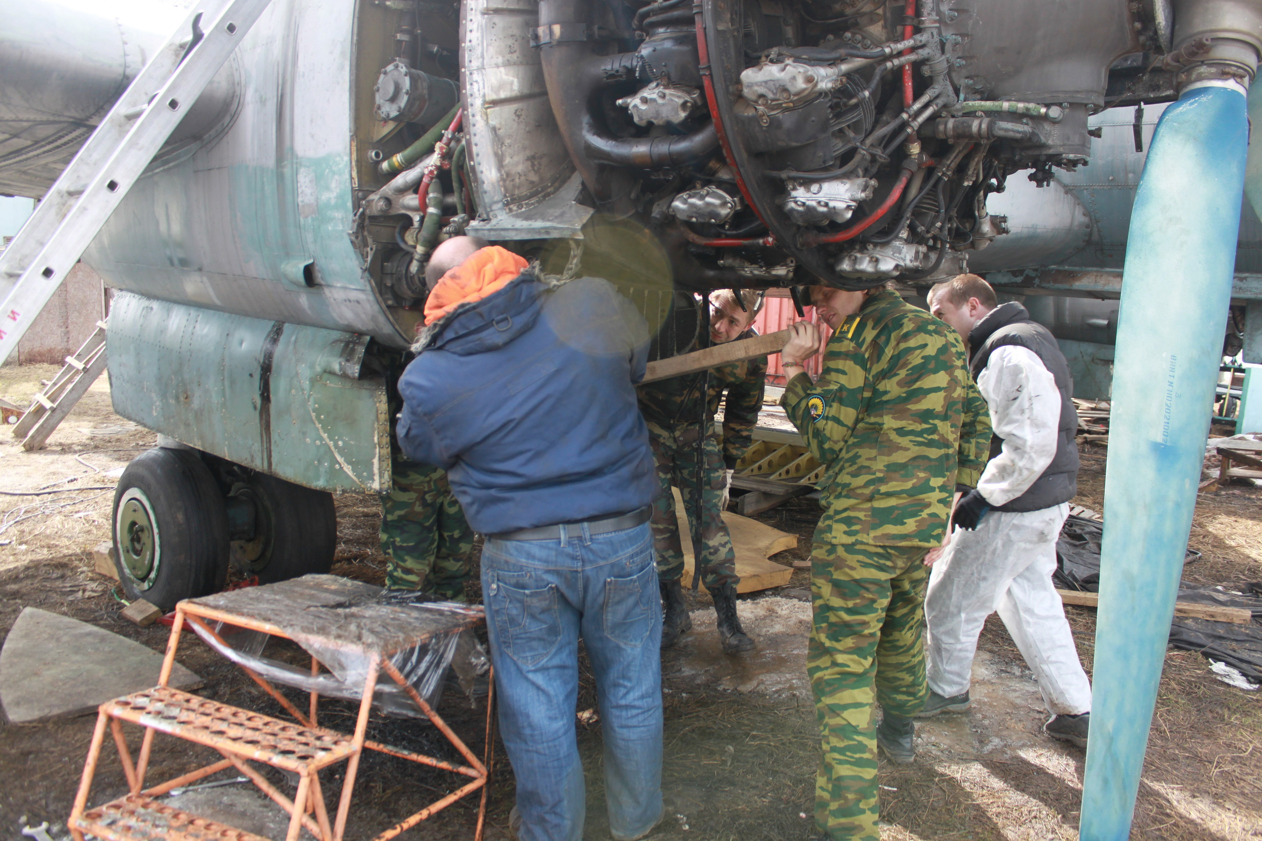 Ил-14Т «Голубая Мечта» работы в Тушино (2011 г.). Фотоальбом показывающий увлекательный мир авиации и мир медведей Андрея Иванова