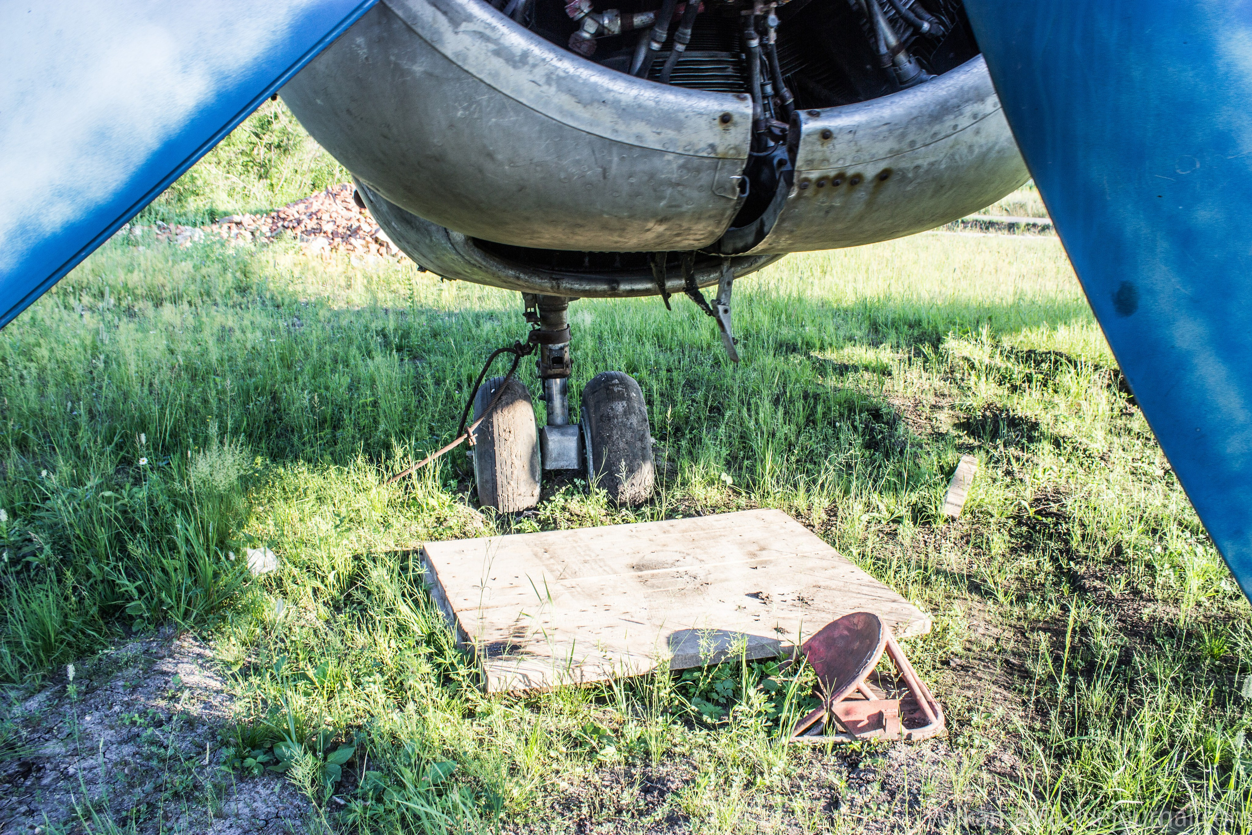 Ил-14 (Пермь, Фролы). Фотоальбом показывающий увлекательный мир авиации и мир медведей Андрея Иванова