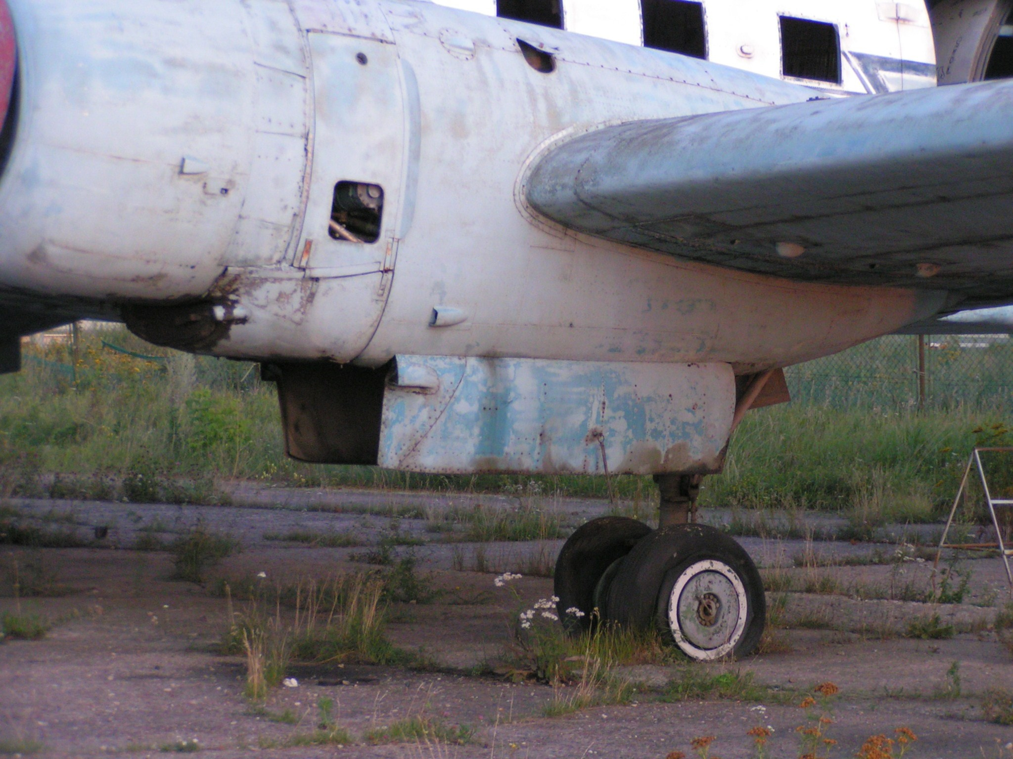 Ил-14 (Ходынка) — уничтожен. Фотоальбом показывающий увлекательный мир авиации и мир медведей Андрея Иванова