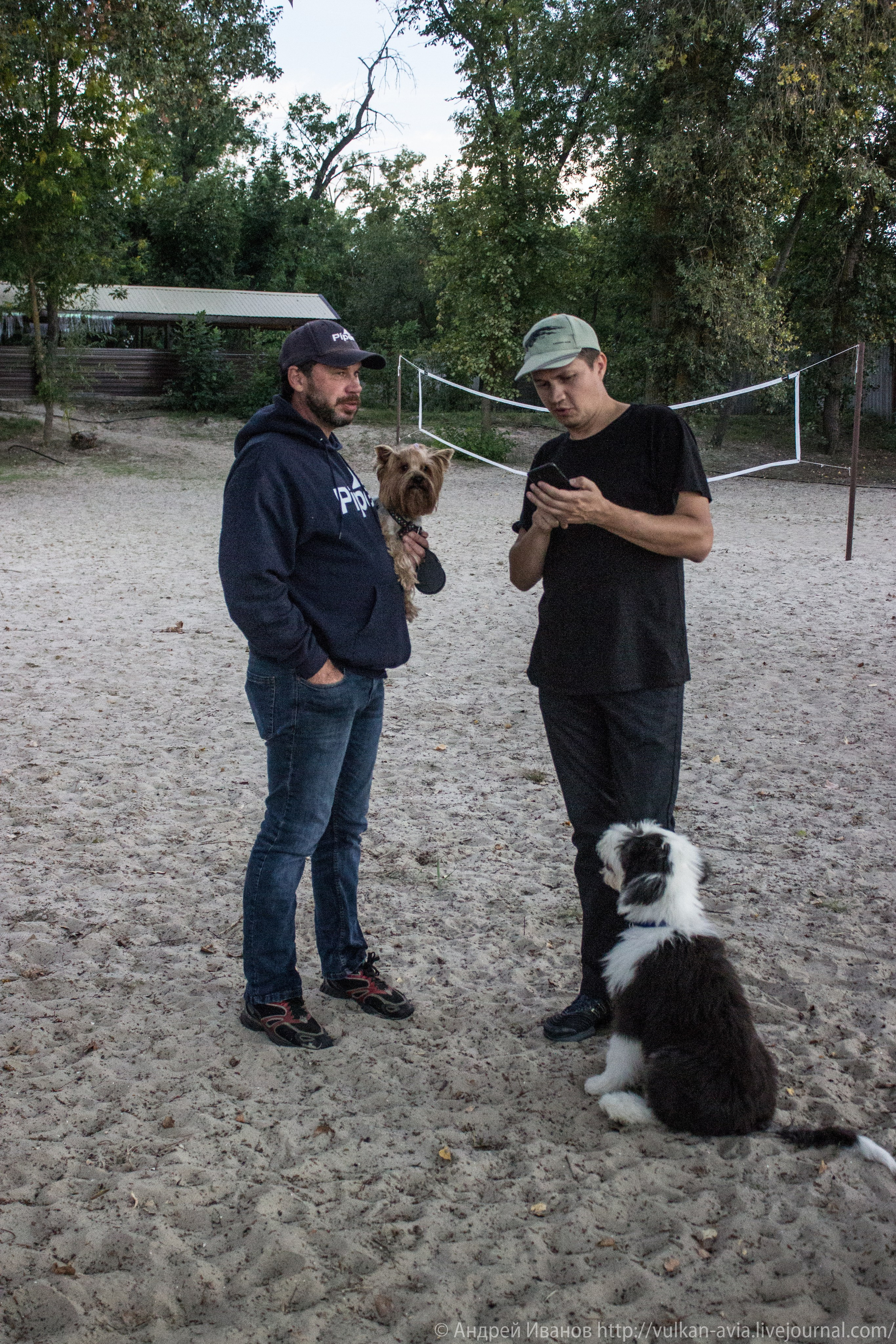 Волгодонск аэр. Потапов слёт «Небо для всех» (2021 г.). Фотоальбом показывающий увлекательный мир авиации и мир медведей Андрея Иванова