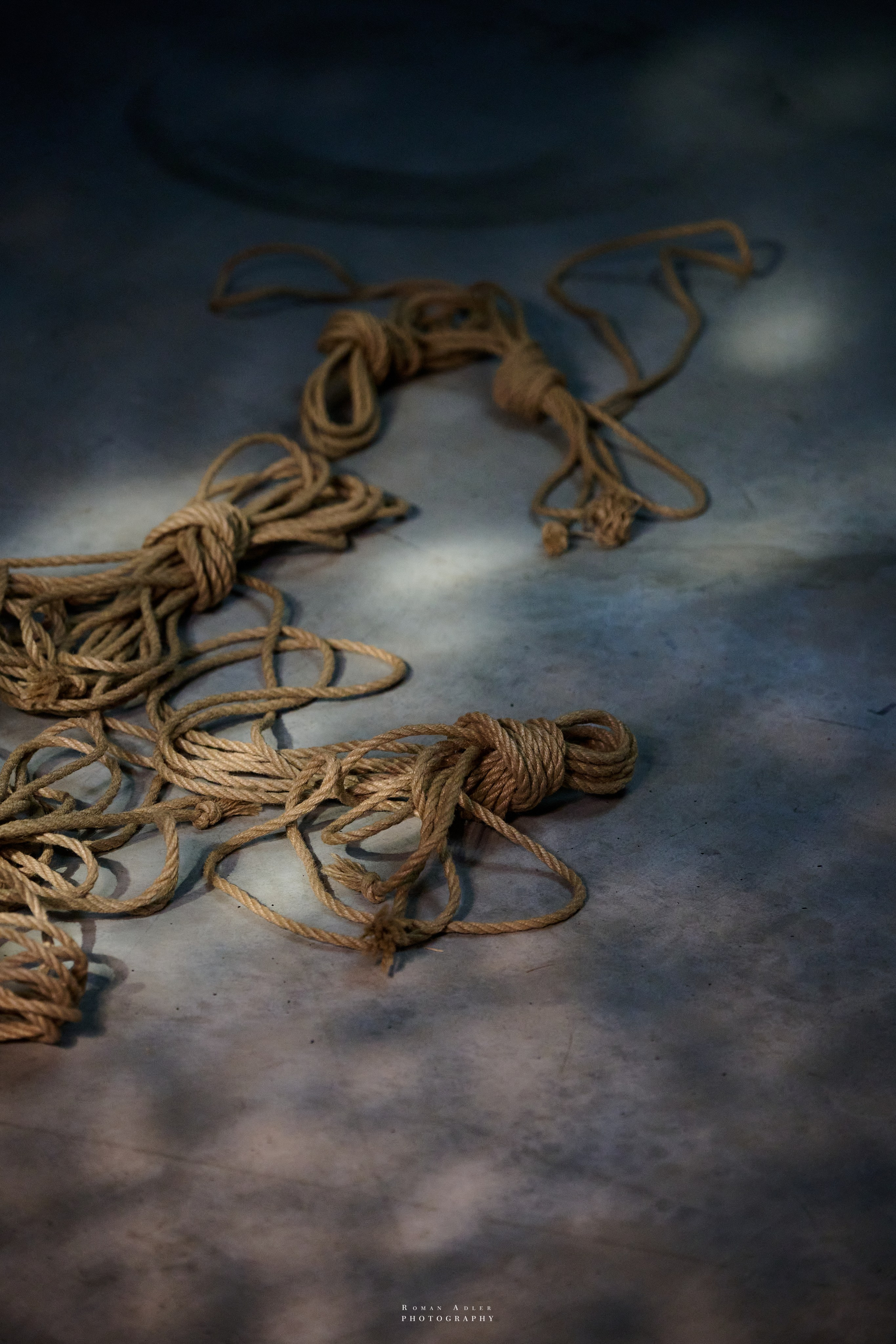 Семинар-презентация осветительного оборудования DEDOLIGHT. Фотограф Роман Адлер