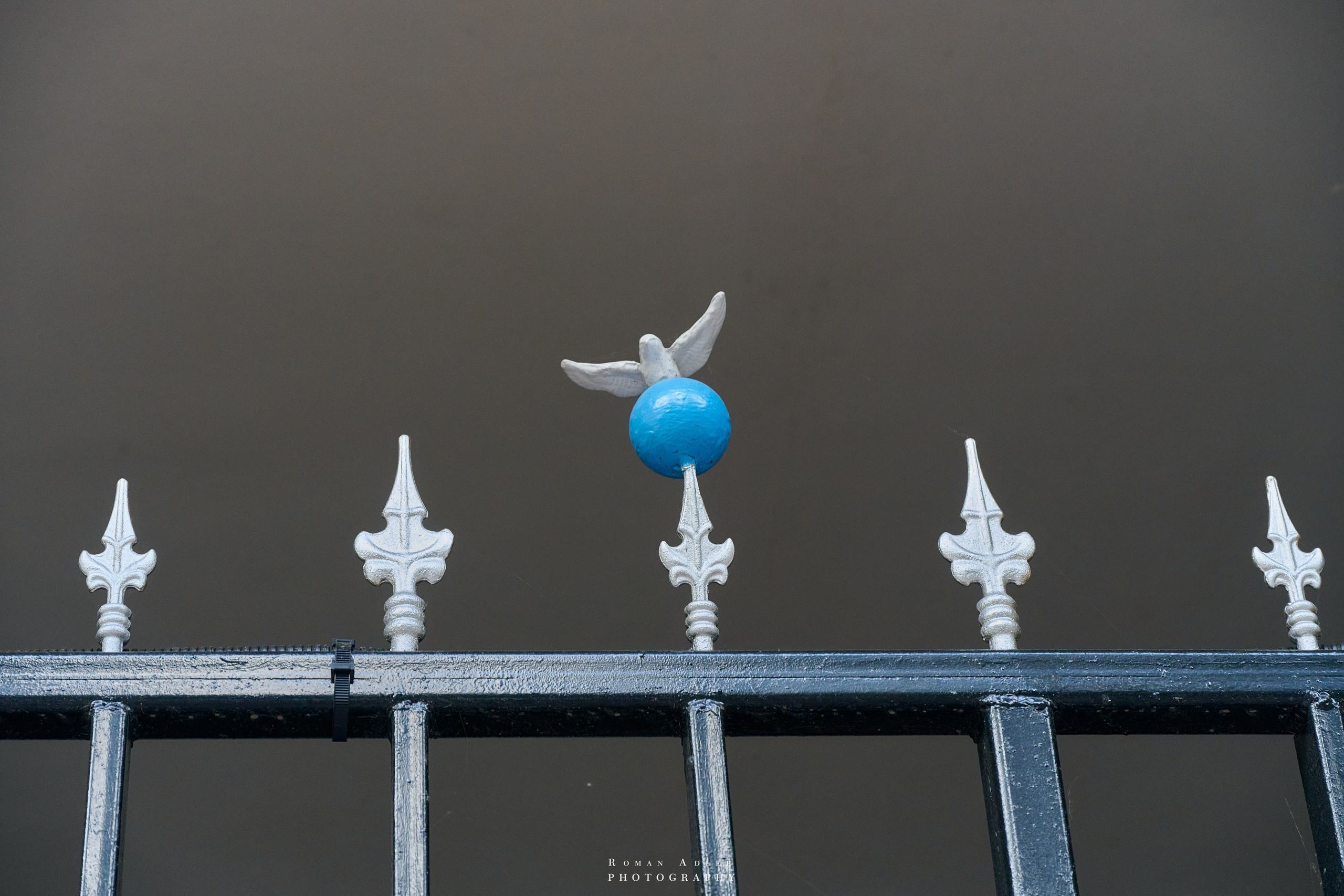 Воронеж. Август 2024. Фотограф Роман Адлер