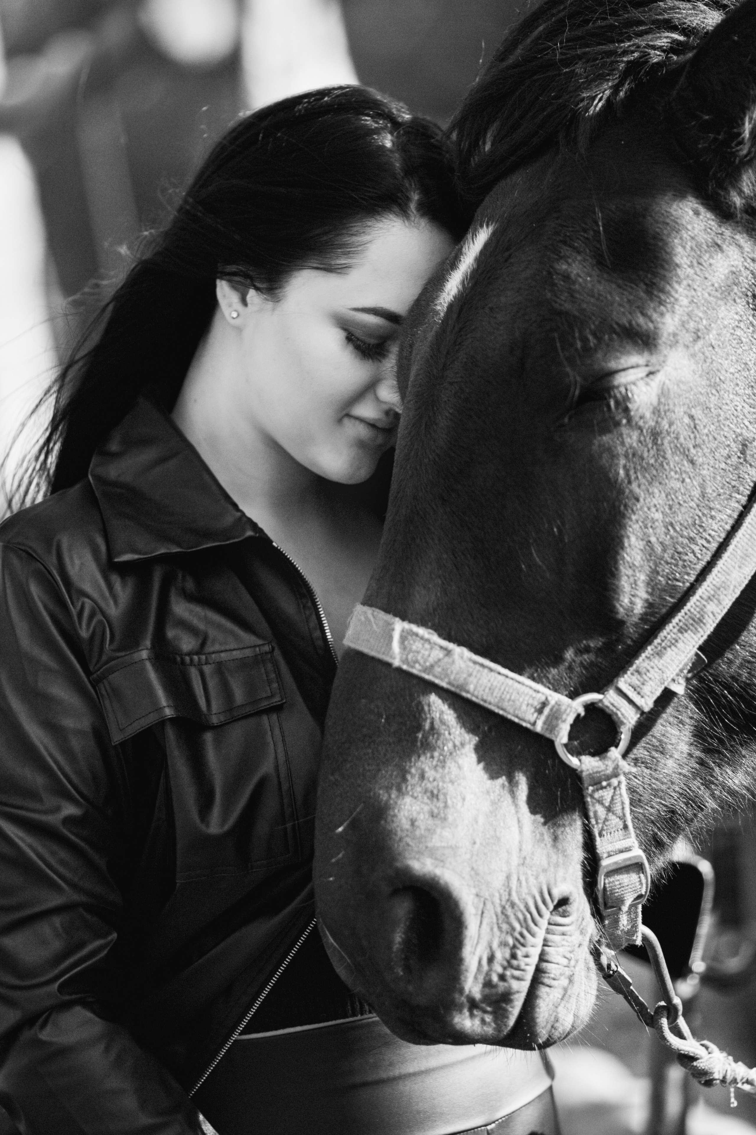 Фото с лошадьми. Обо мне