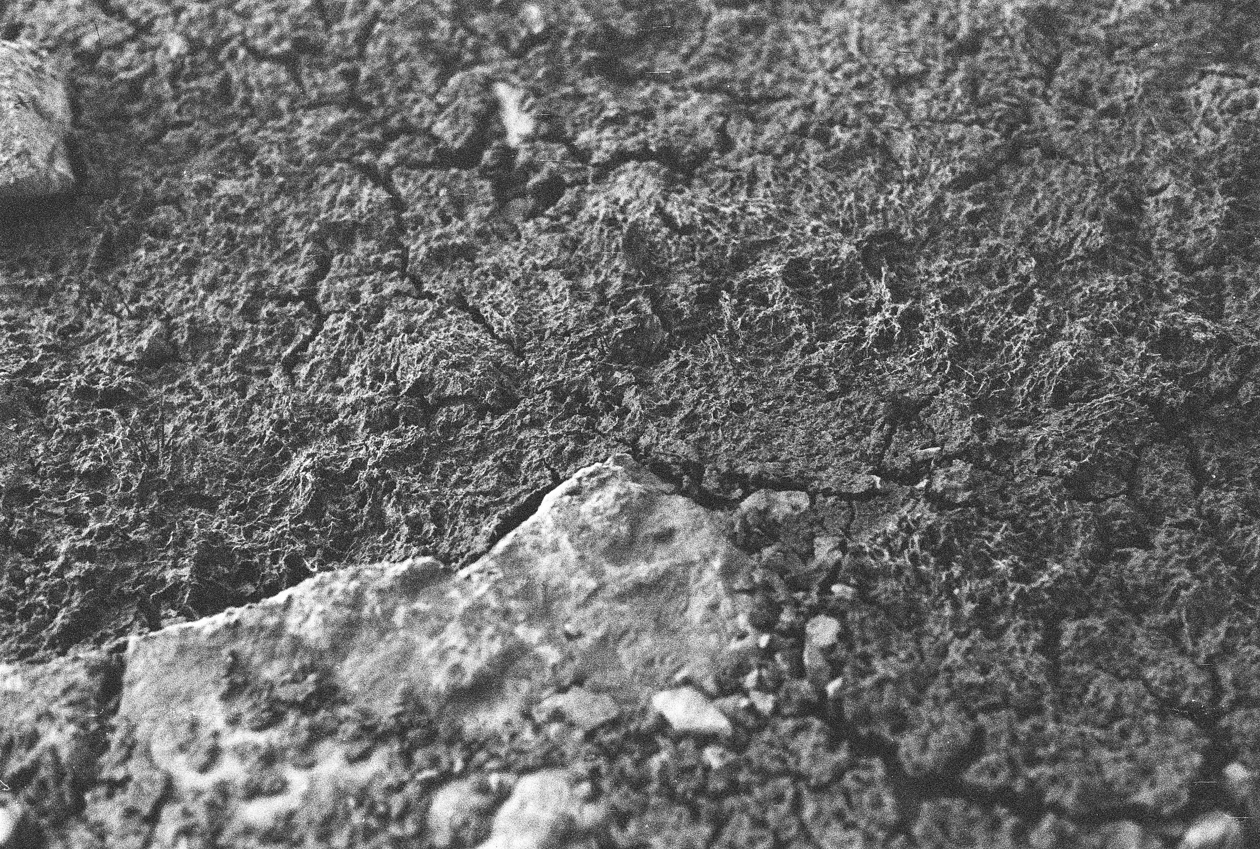 N2. Стилист и плёночный фотограф Анастасия Шлокова в Санкт-Петербурге и Москве