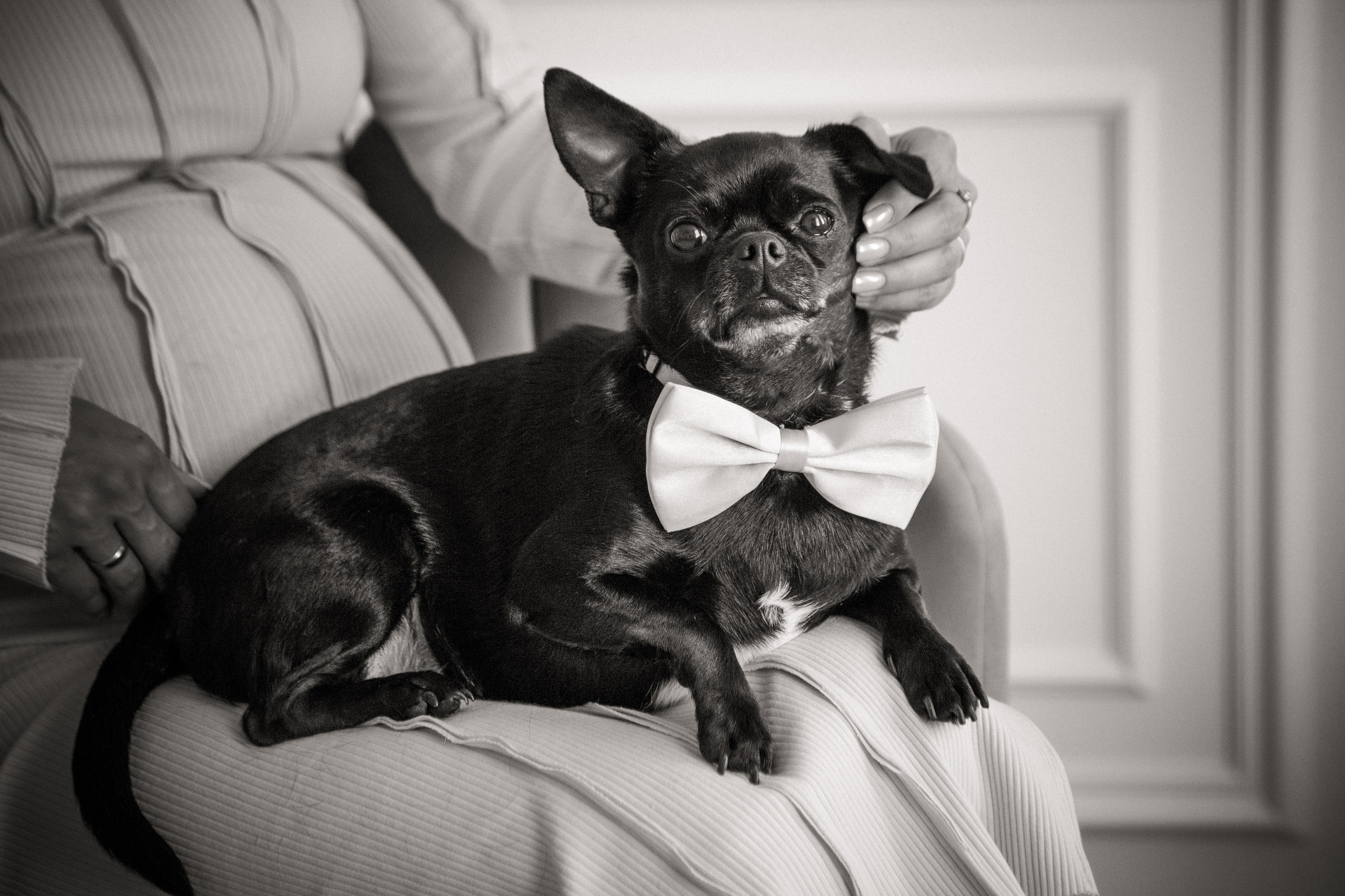 Фотосессия беременности в студии. X-Place студия в Москве. Свадебный и семейный фотограф в Москве и Подмосковье Лариса Козлова