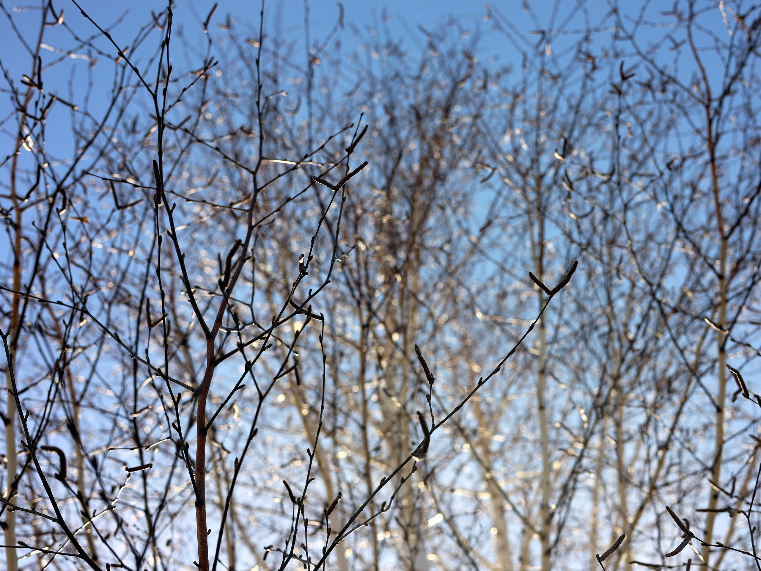 Фотограф | Видеограф в Кургане, Тюмени и Челябинске