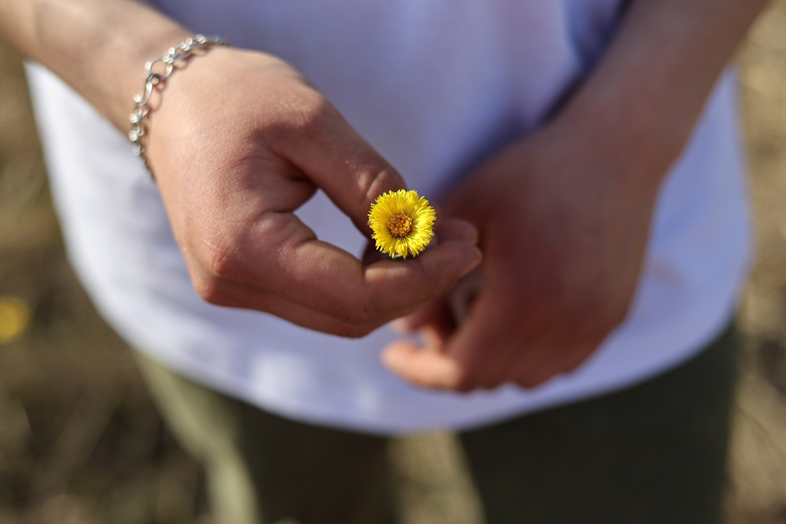 Лесовой Андрей |ANDOSIA. Фотограф | Видеограф в Кургане, Тюмени и Челябинске
