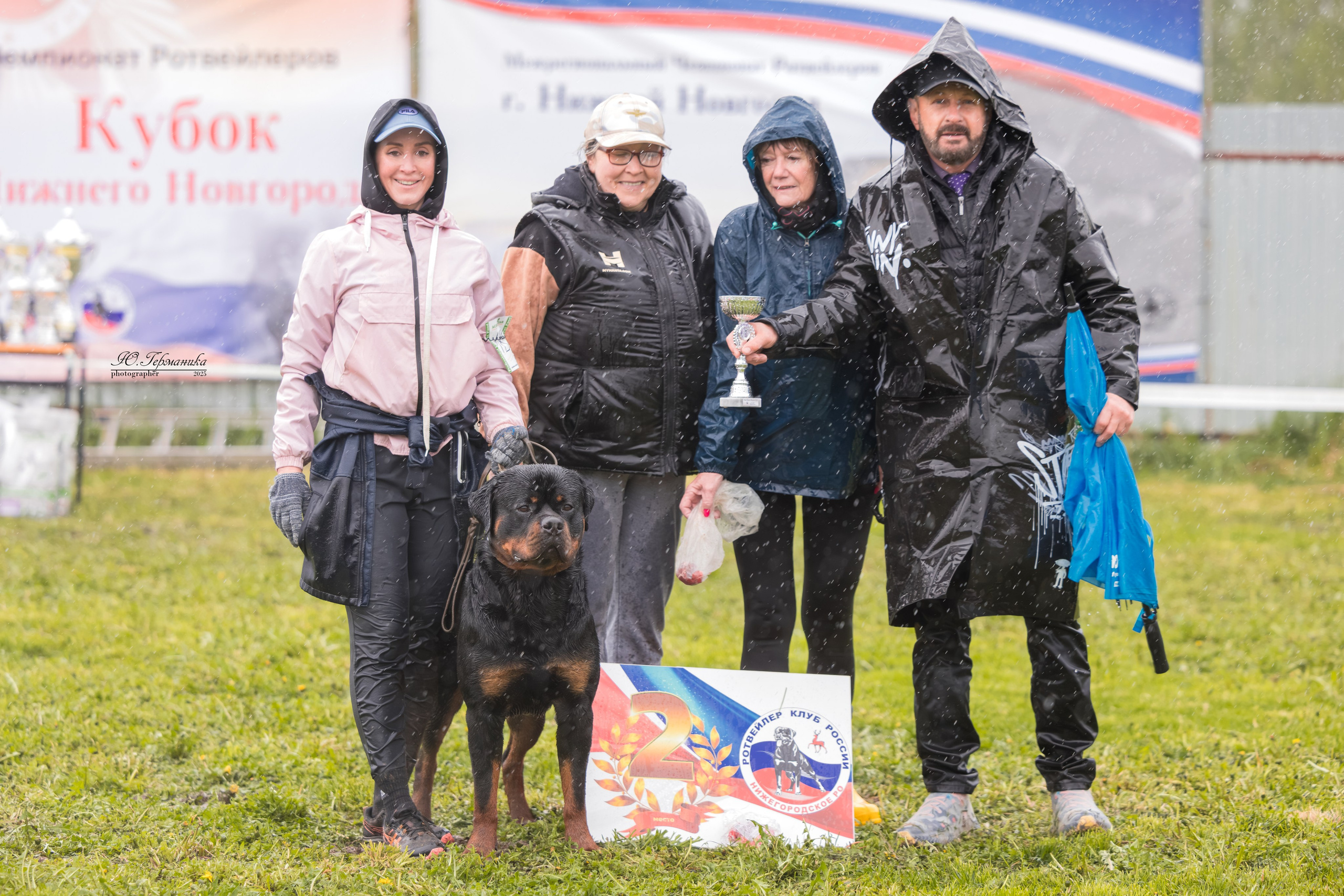 Нижний Новгород 2хмоно ротвейлеров 10-11.05.2025. Фотограф-анималист Юлия Германика