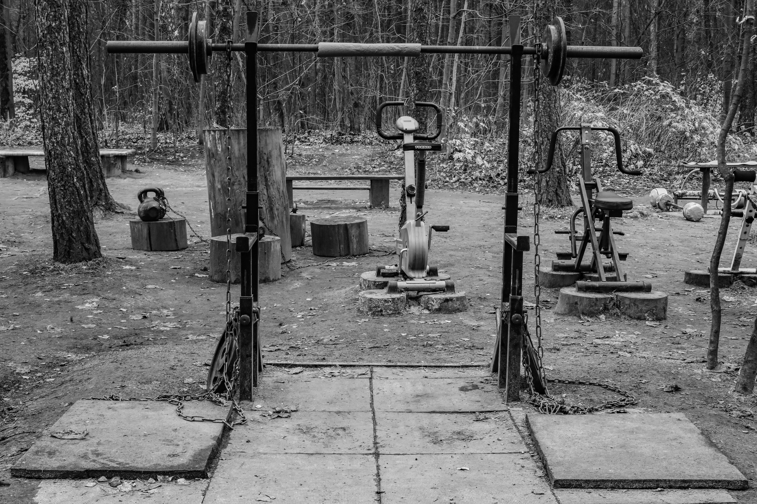 Качалка в лесу — 2022. Стас Привалов