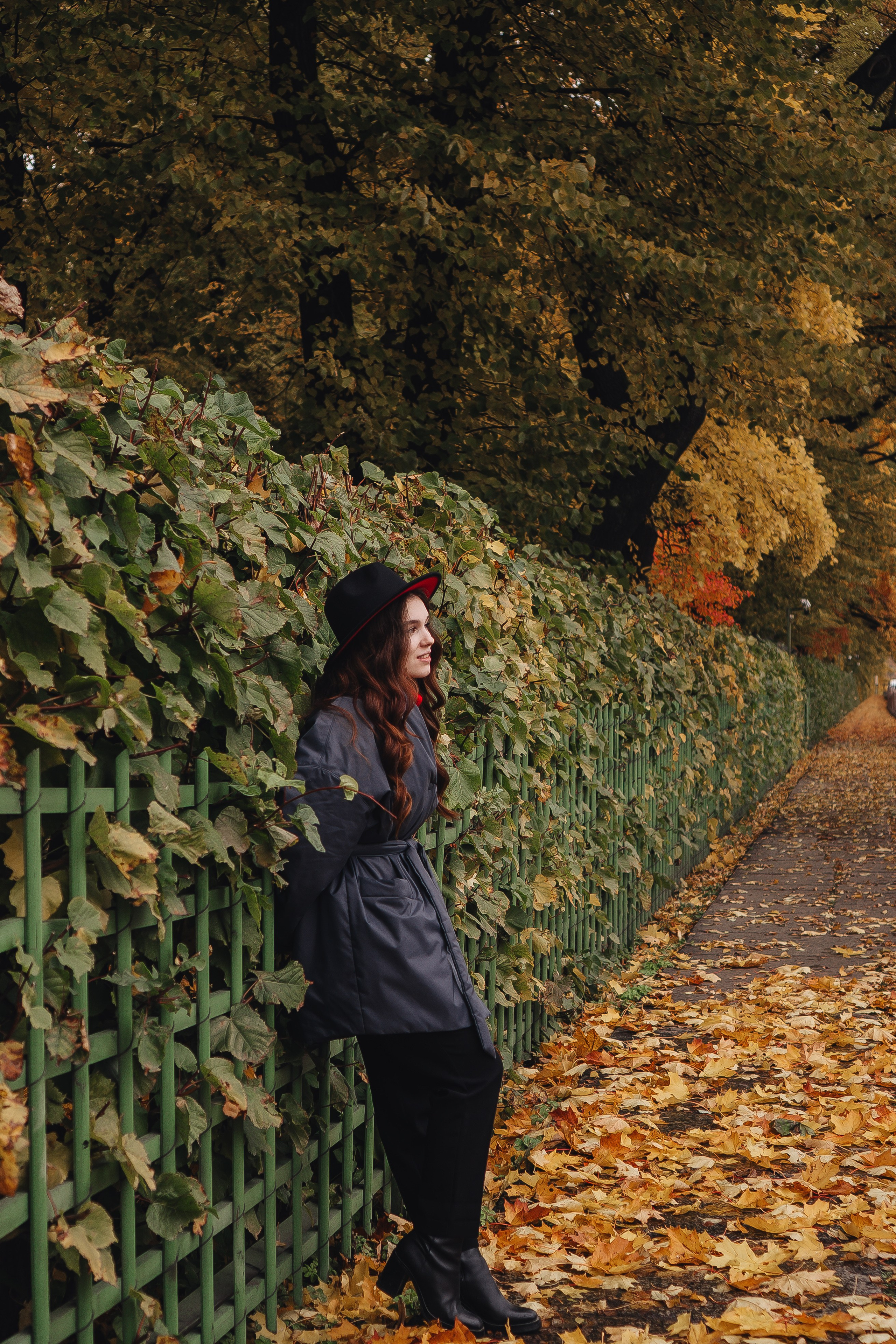 Осень. Профессиональный фотограф, Санкт-Петербург — Виктория Богомолова